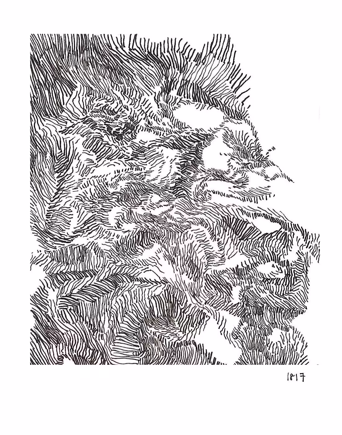 DN - Random Lines