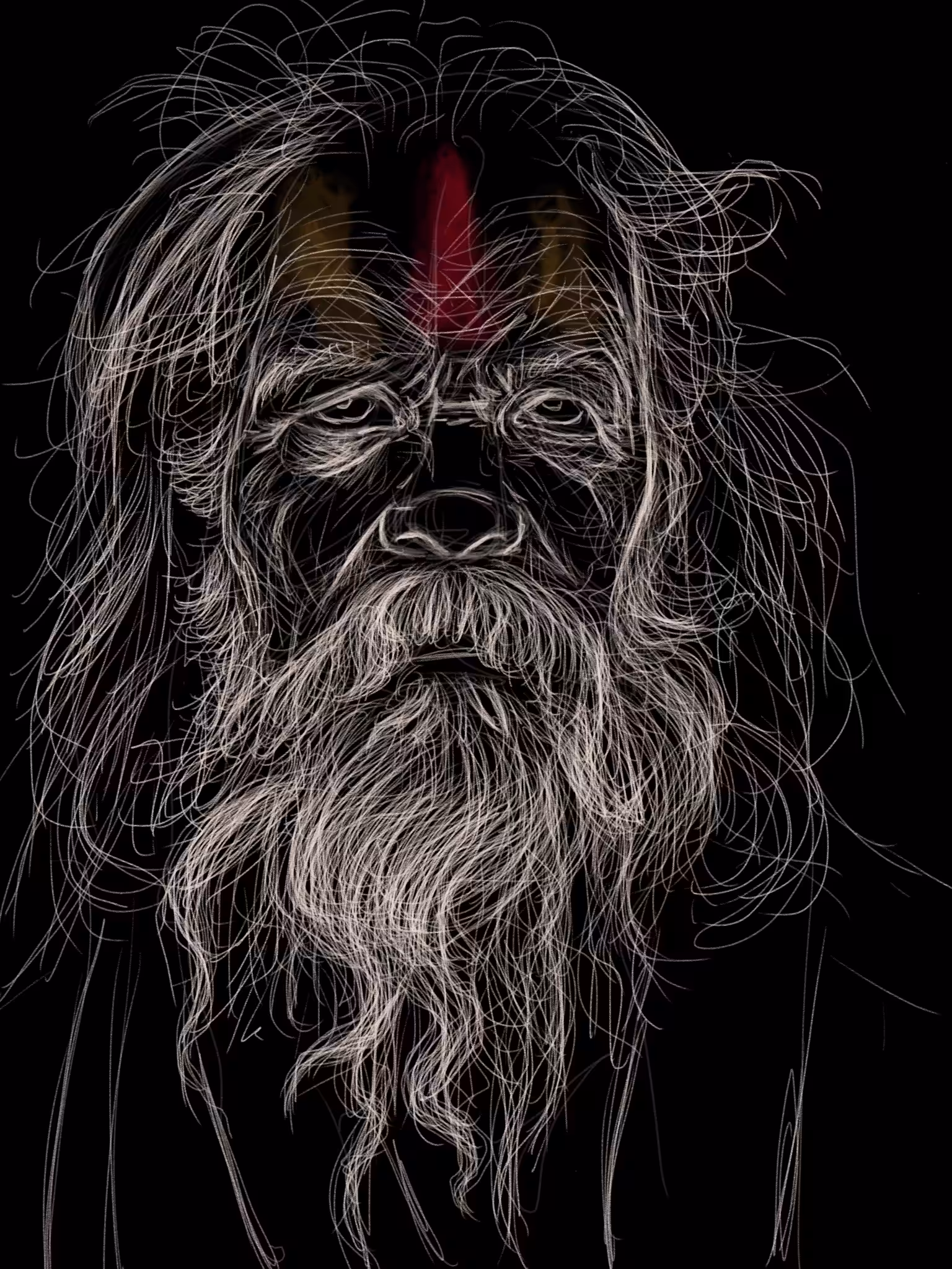 Sadhu 4