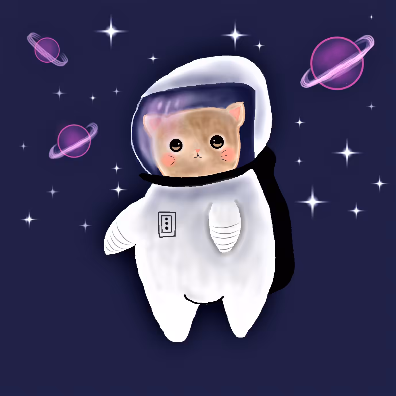 Story of life tiny kitty: Galaxy Kitty