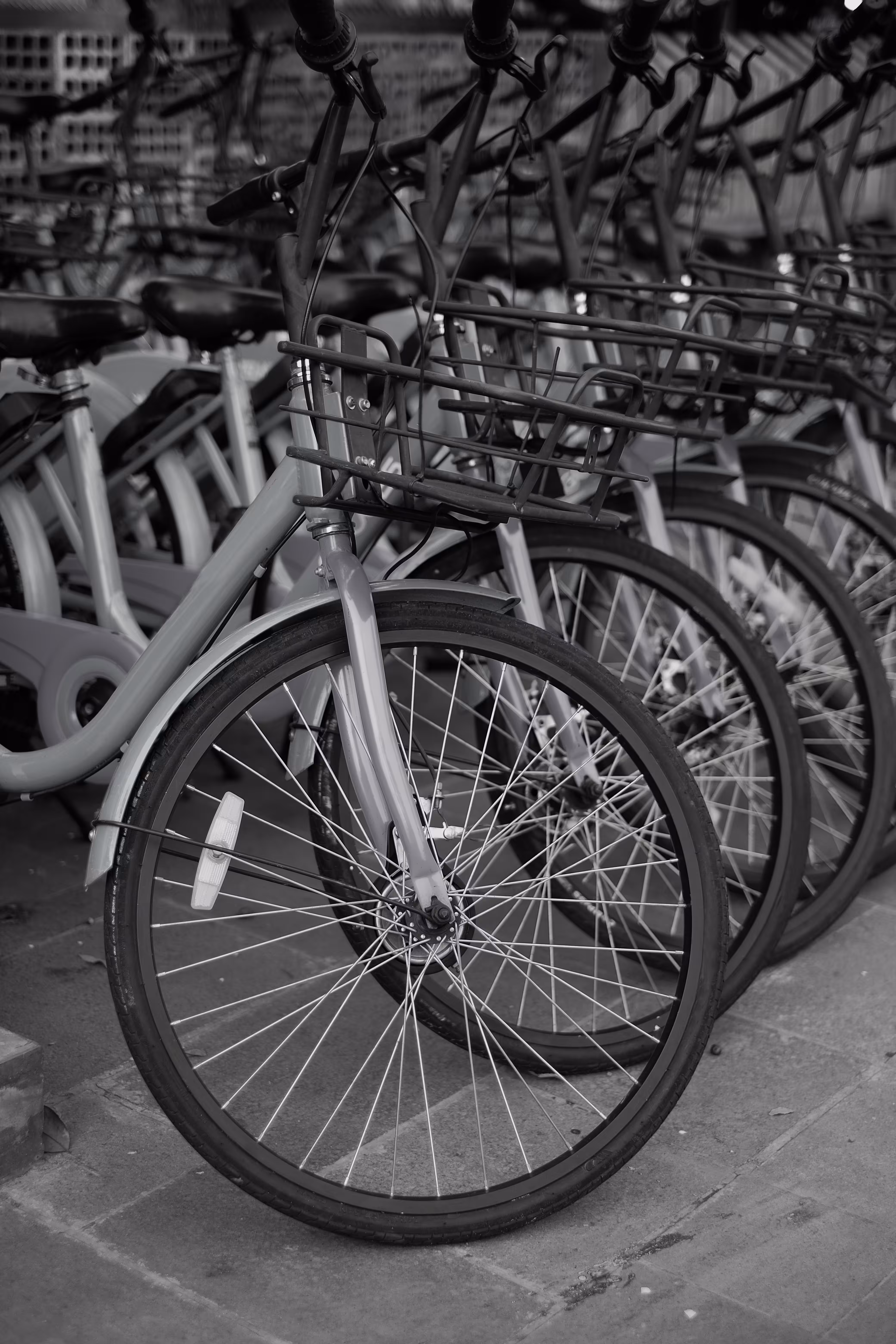 Bike Rent - 2019