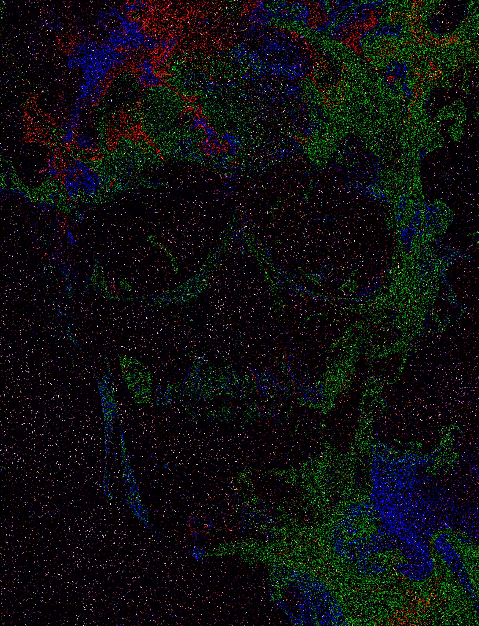Skull Of The Dark