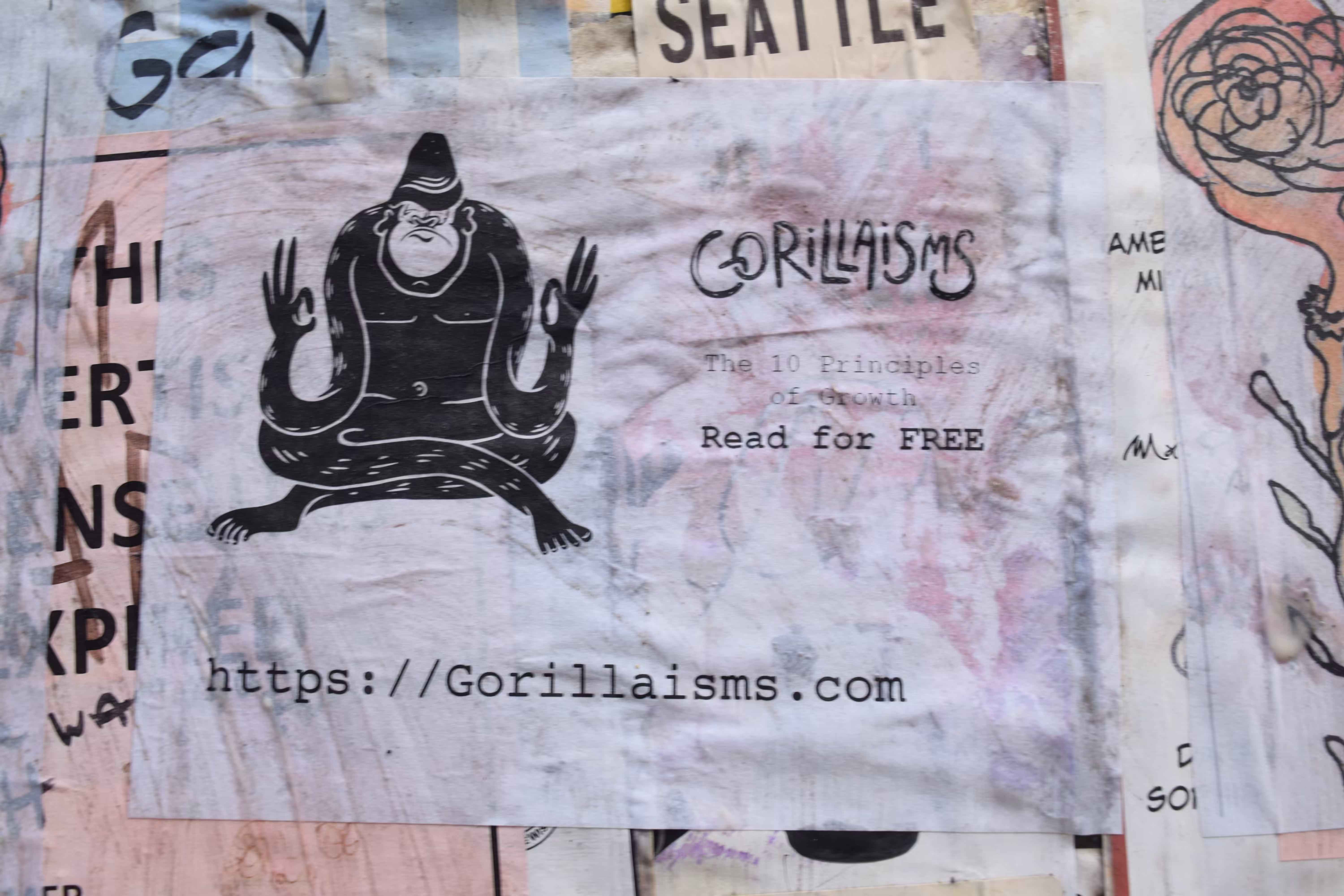 Gorillaisms