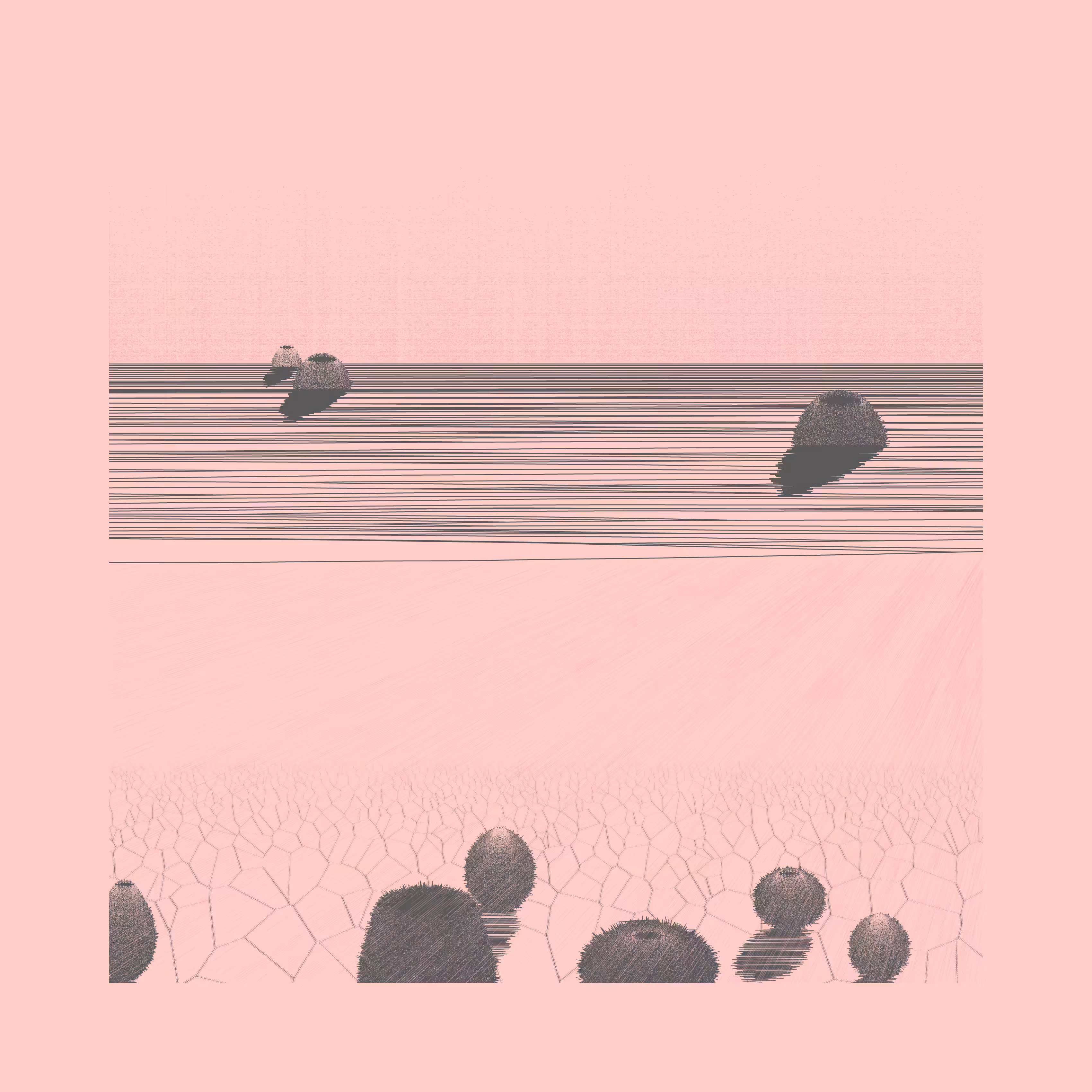 Under a New Sky #60