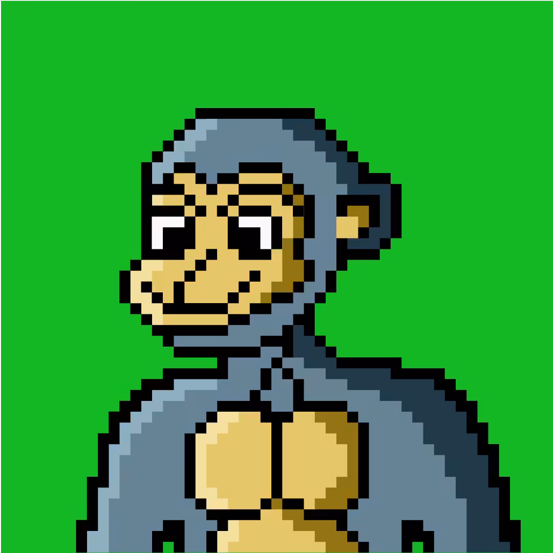 SARU pixel art