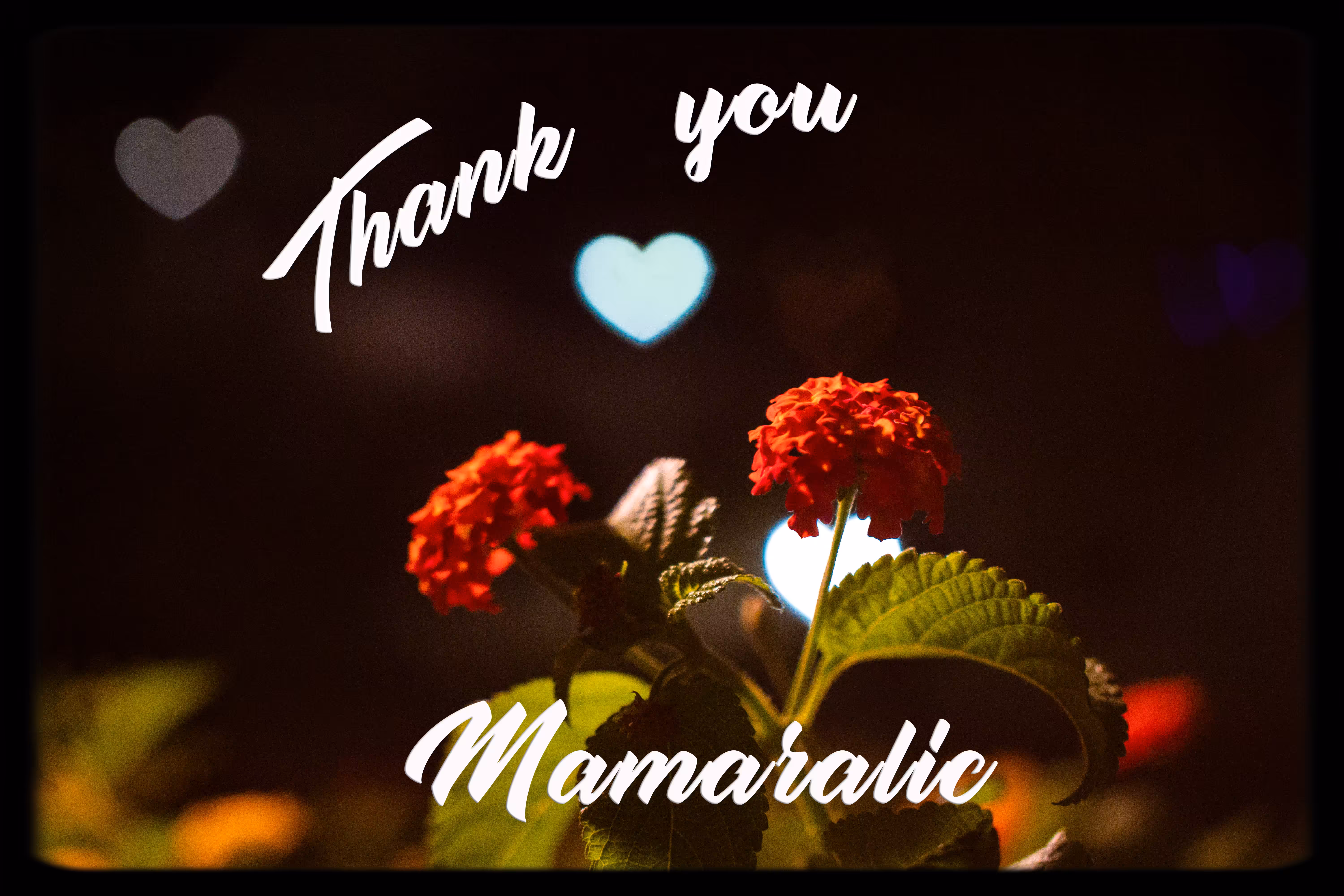 Thank You Mamaralic