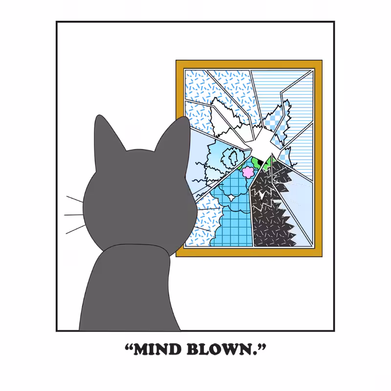Broken Mirror #51