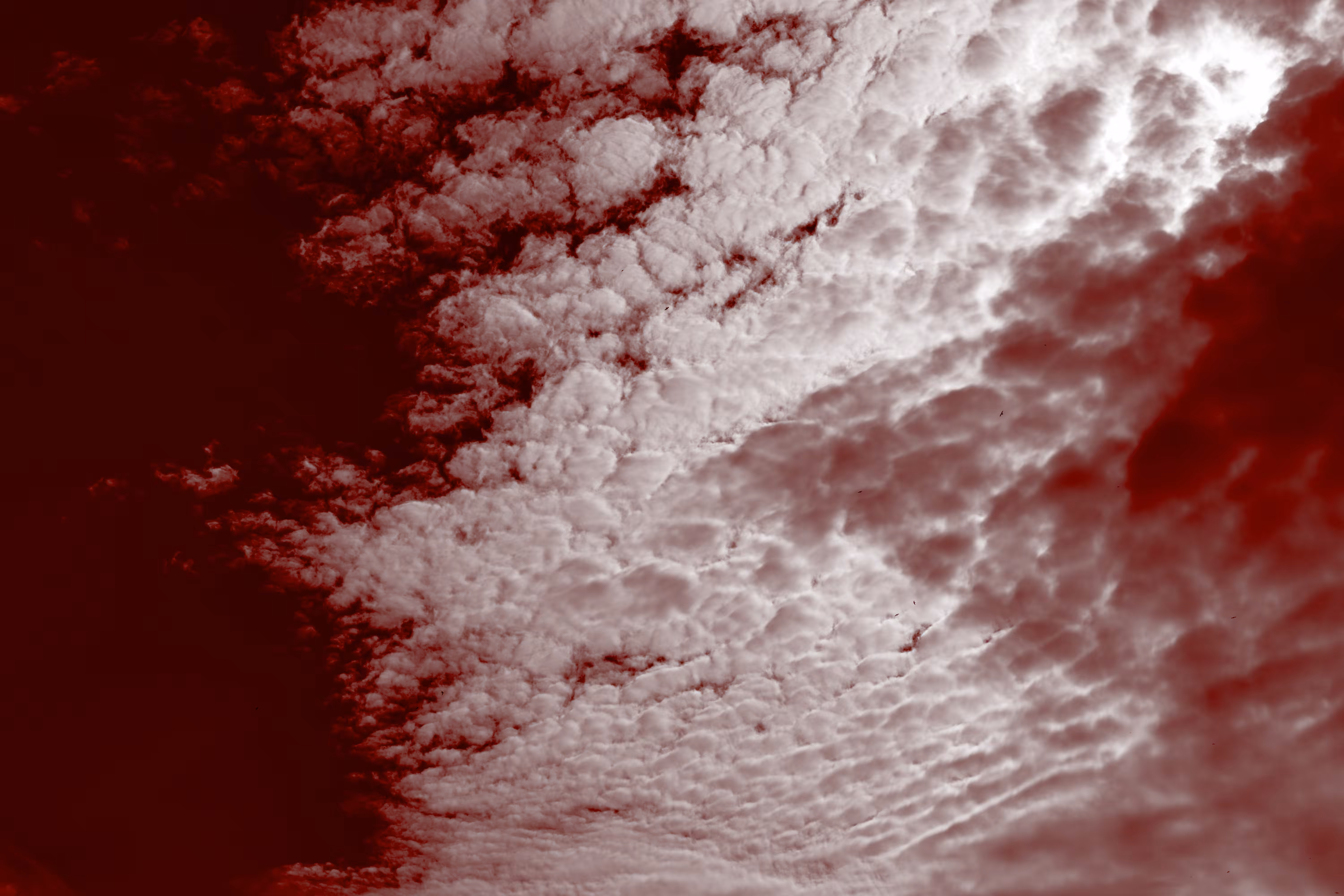 Wounded Sky