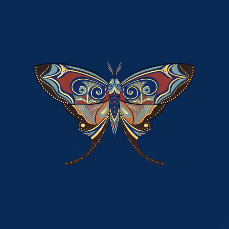 The Moth Experiment - Special Edition #2