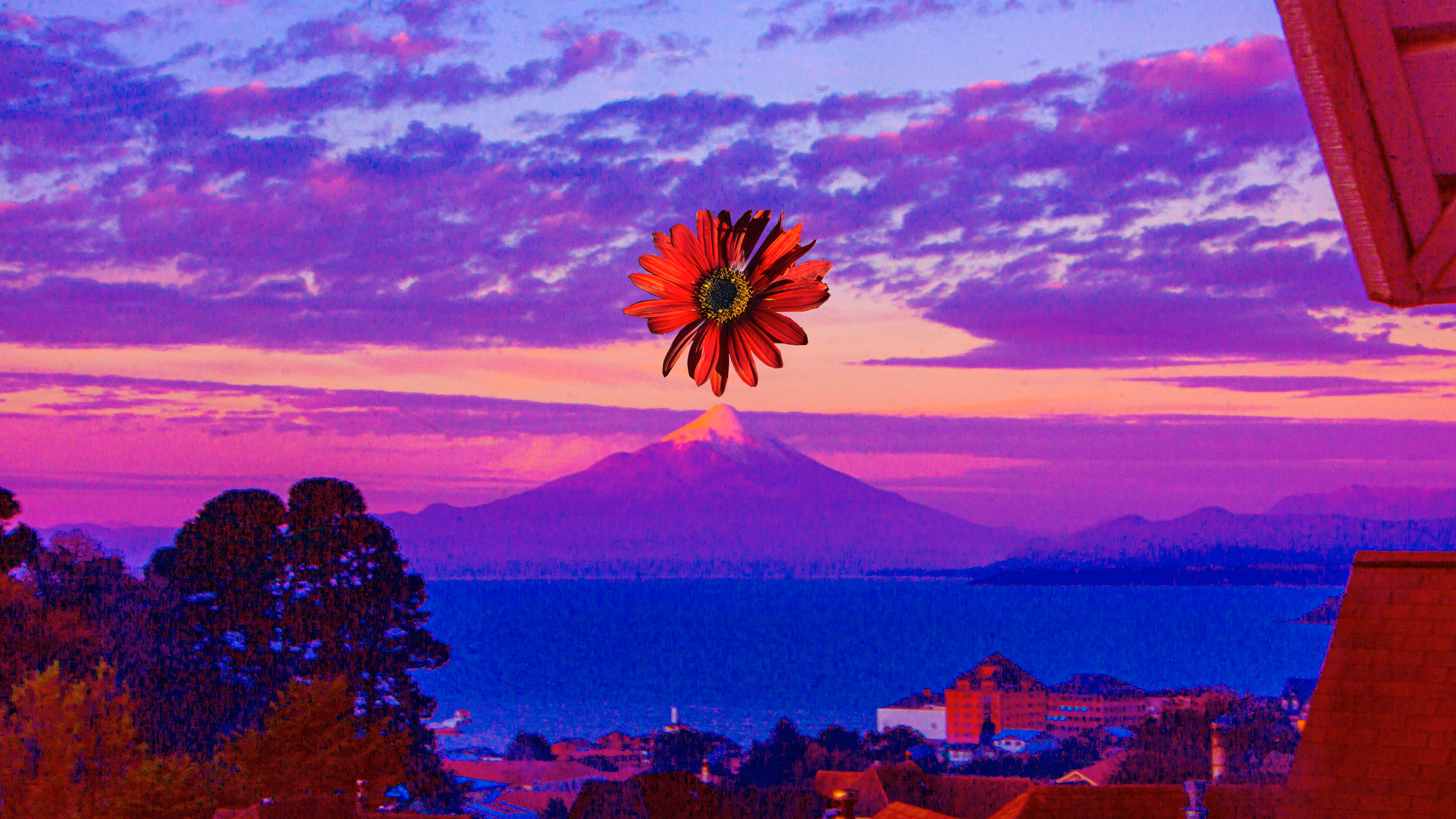 Eruption flower #2