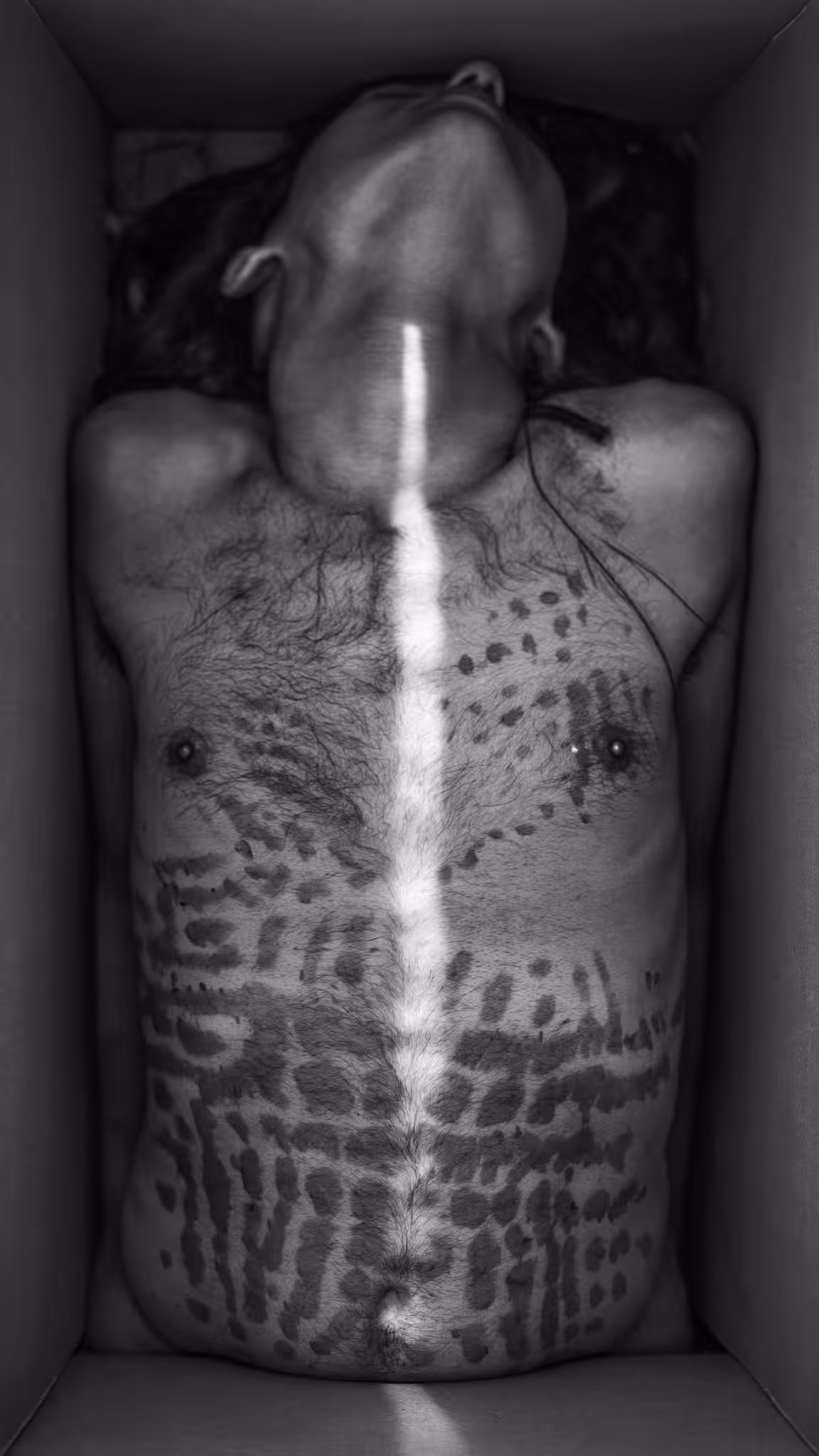 N⁰ L - 37 - In What Light Do We Rest?