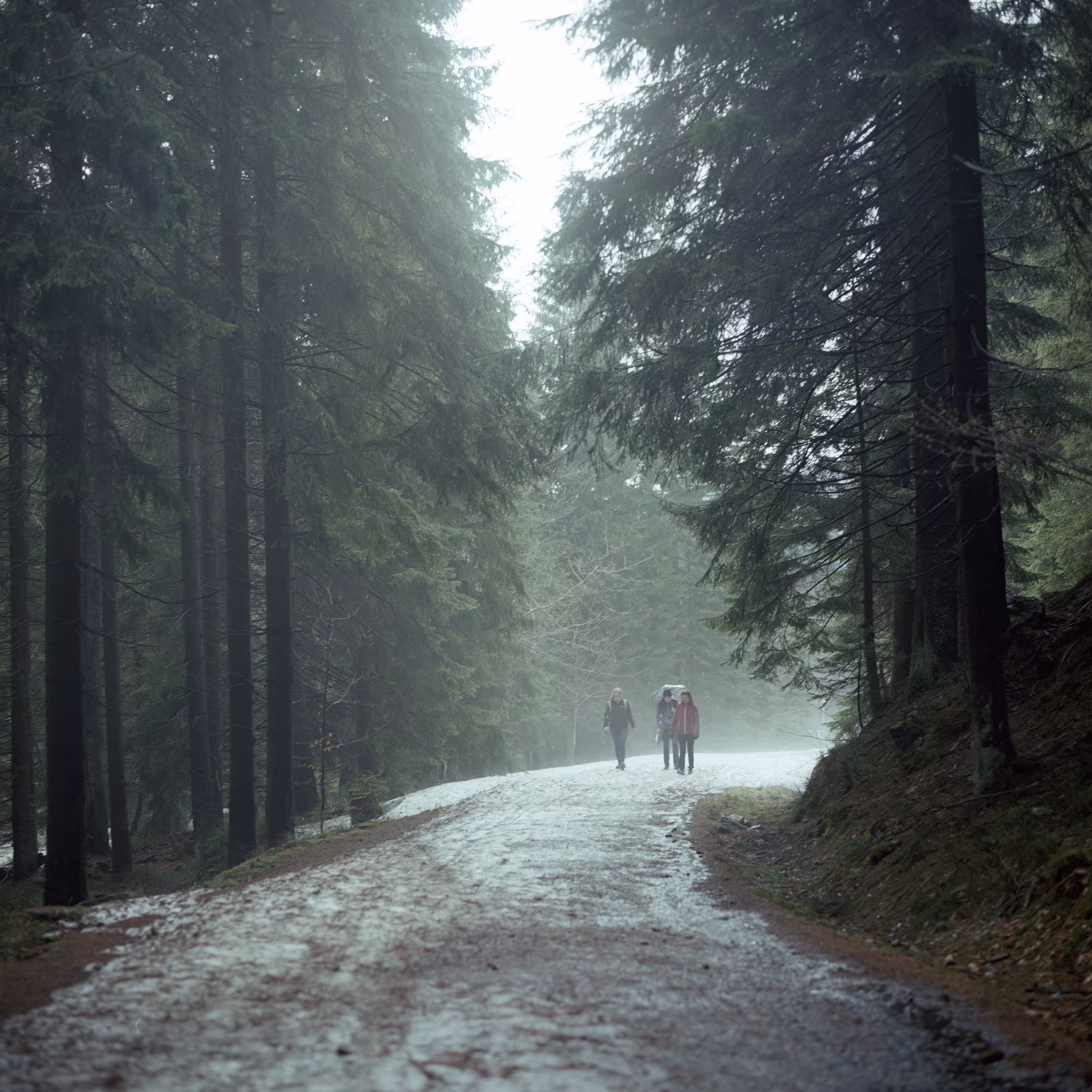 Roads Untraveled #22