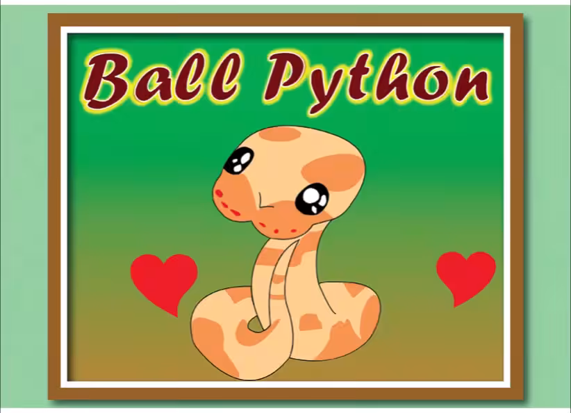 Beautiful Ball python