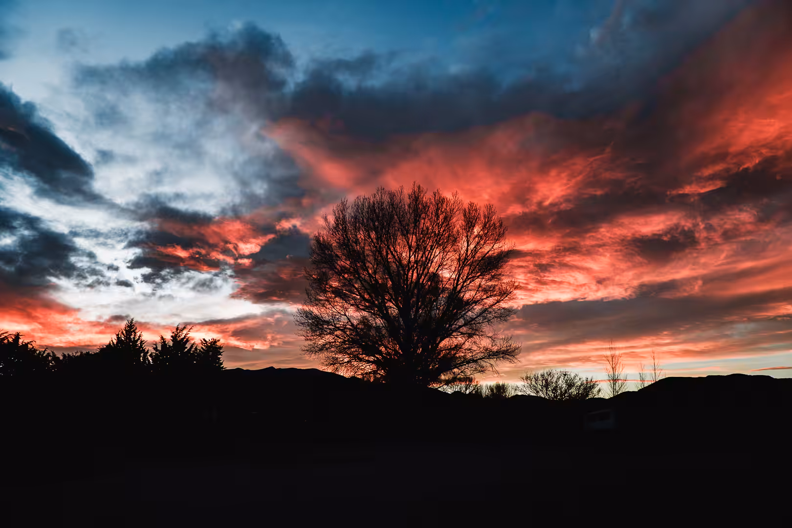 Natural Torch