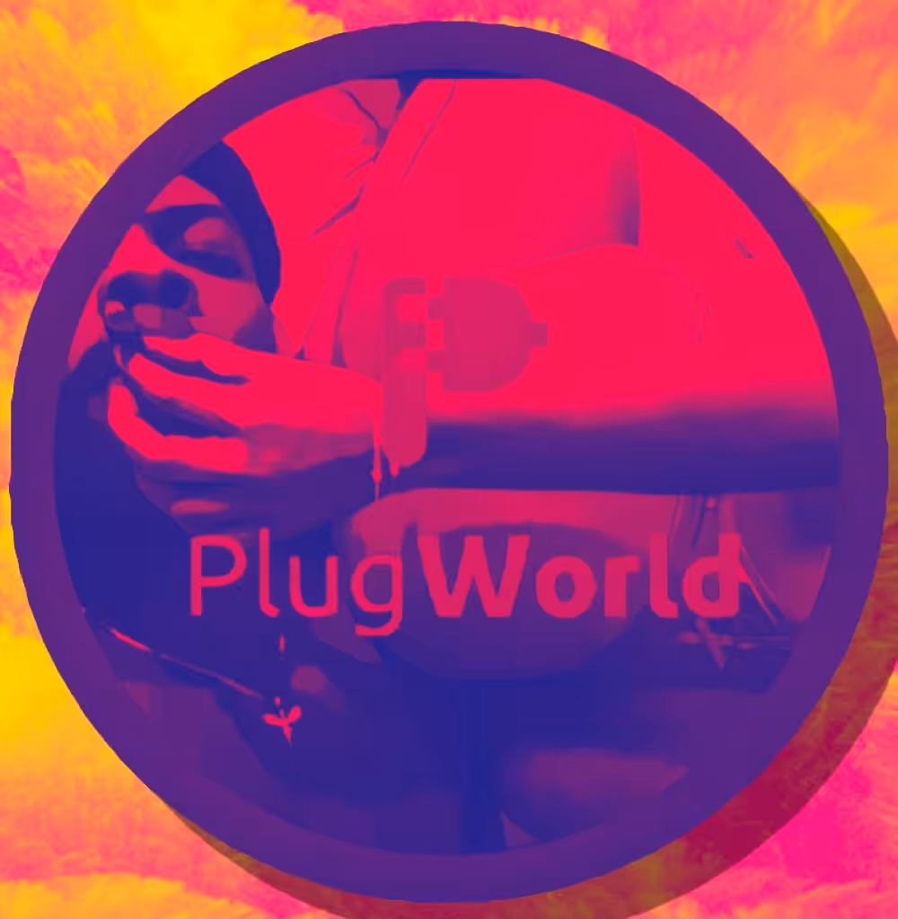 PlugLove #3
