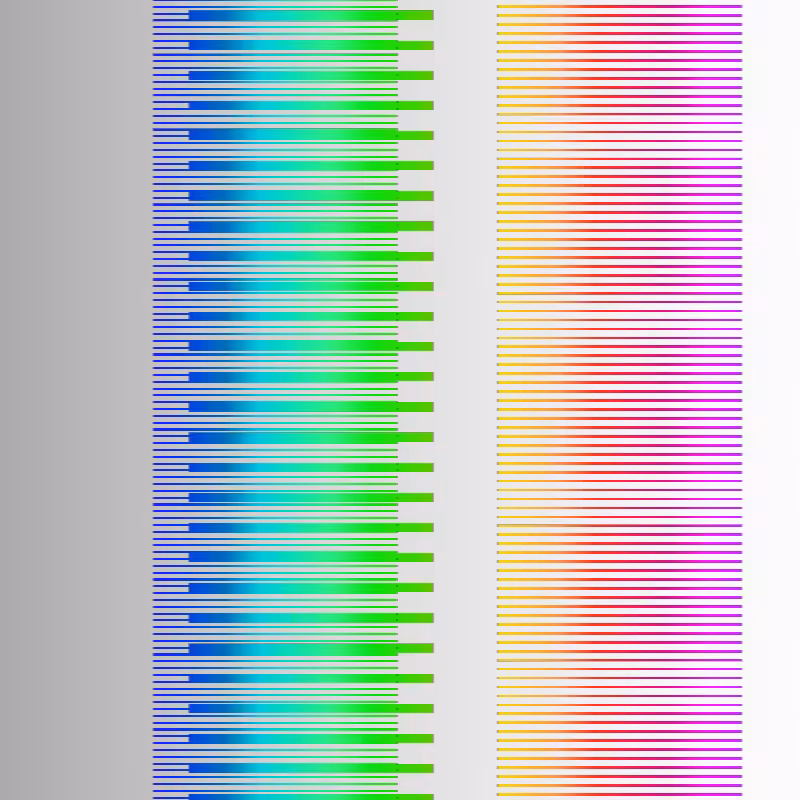 Rizome Lines #47