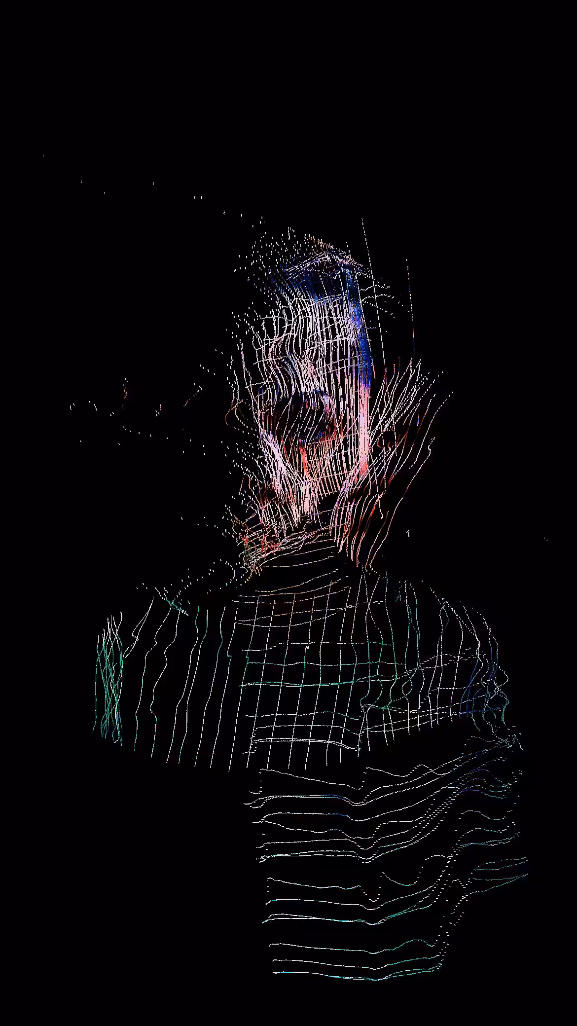 selfSlices13