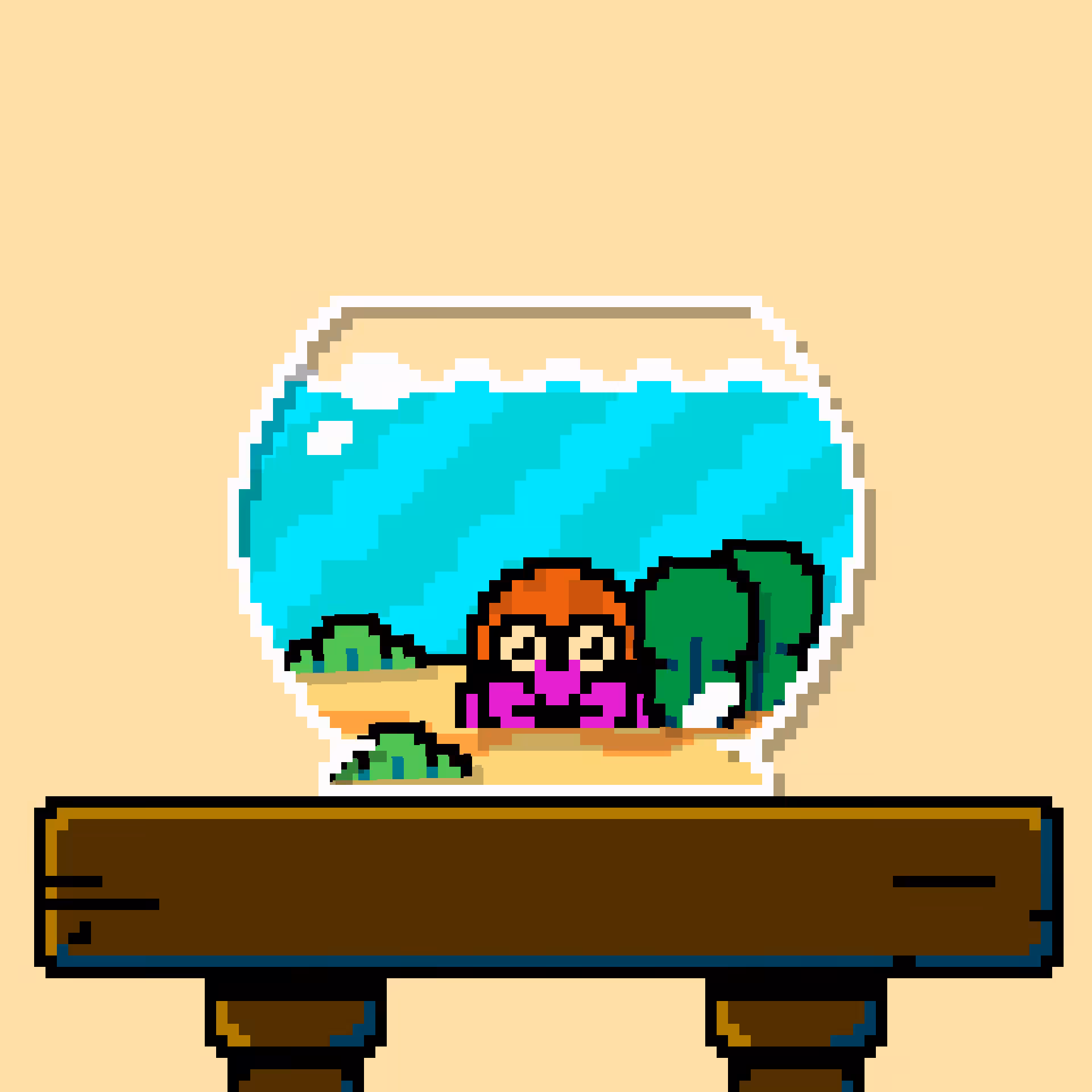 hermit crab #43