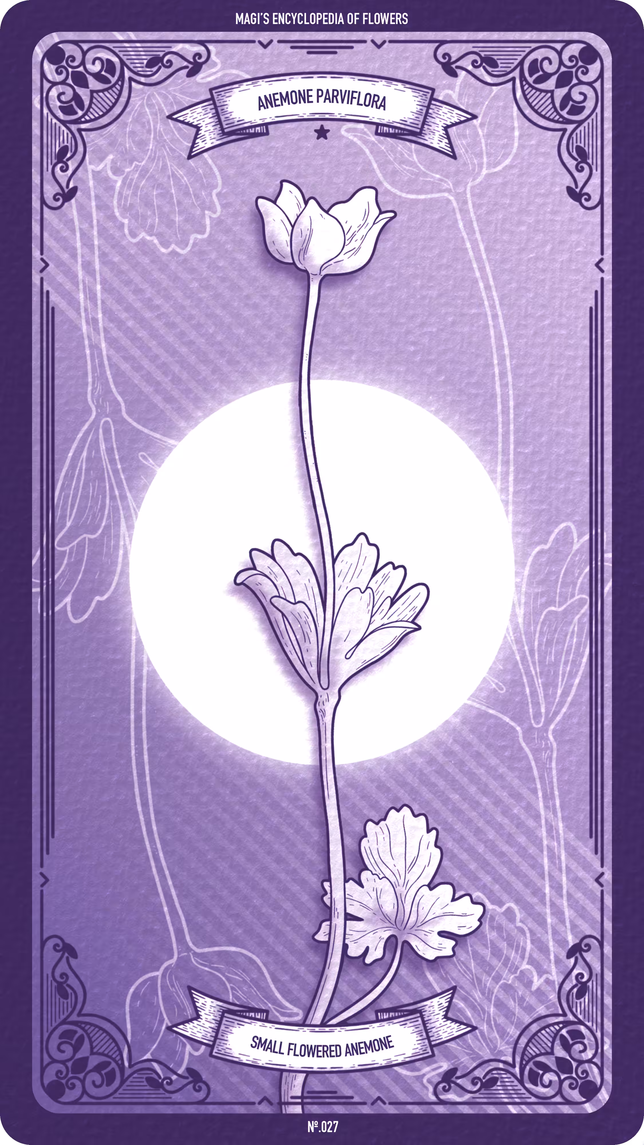 Magi's Encyclopedia of Flowers: 027 Small Flowered Anemone