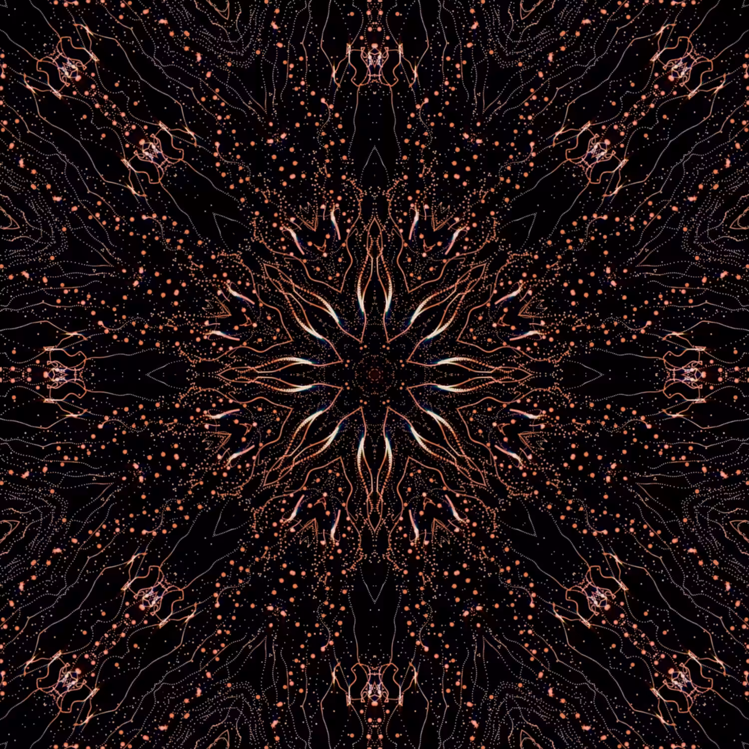 Mycelium Network