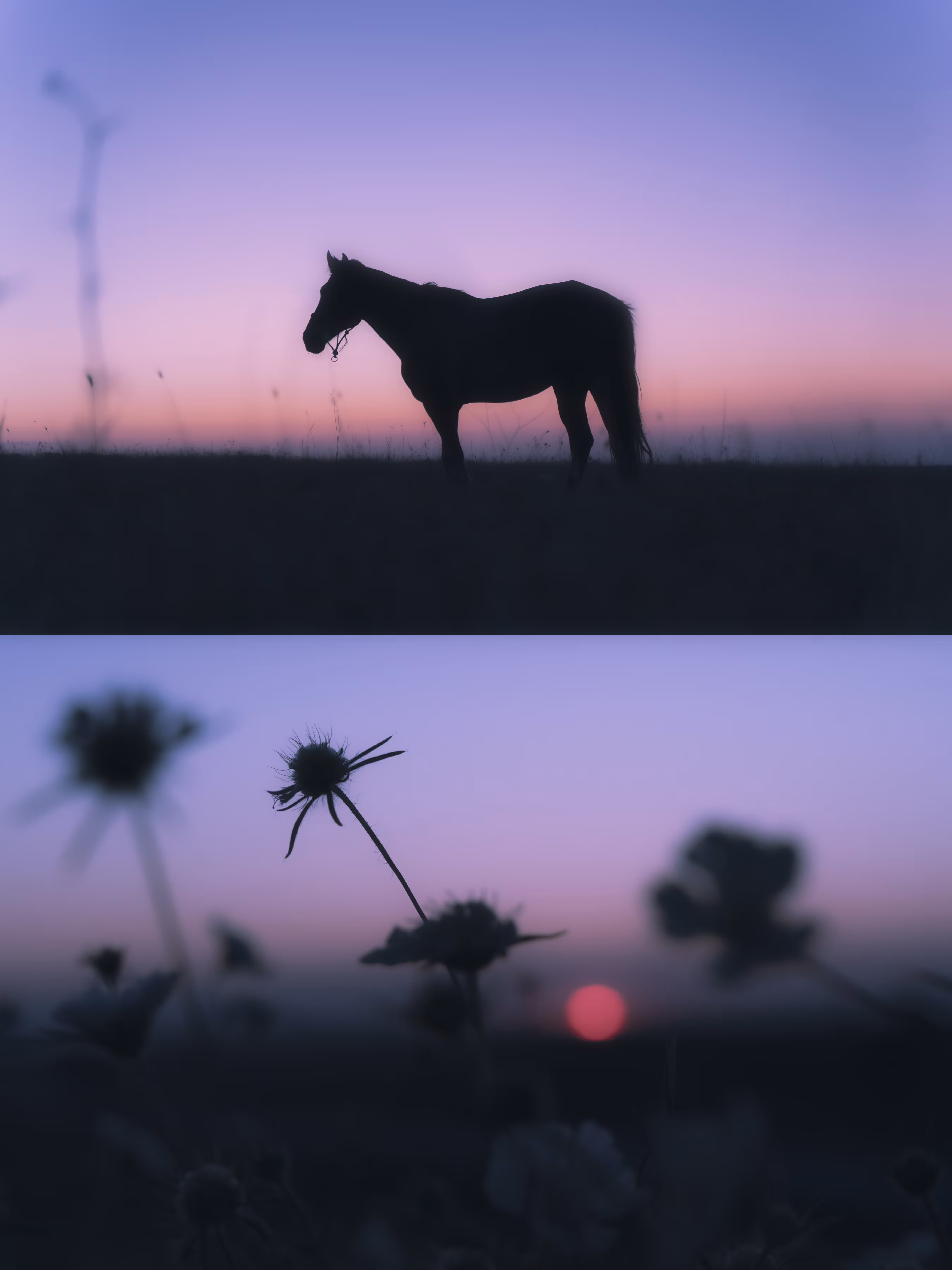 Fabulous summer evening