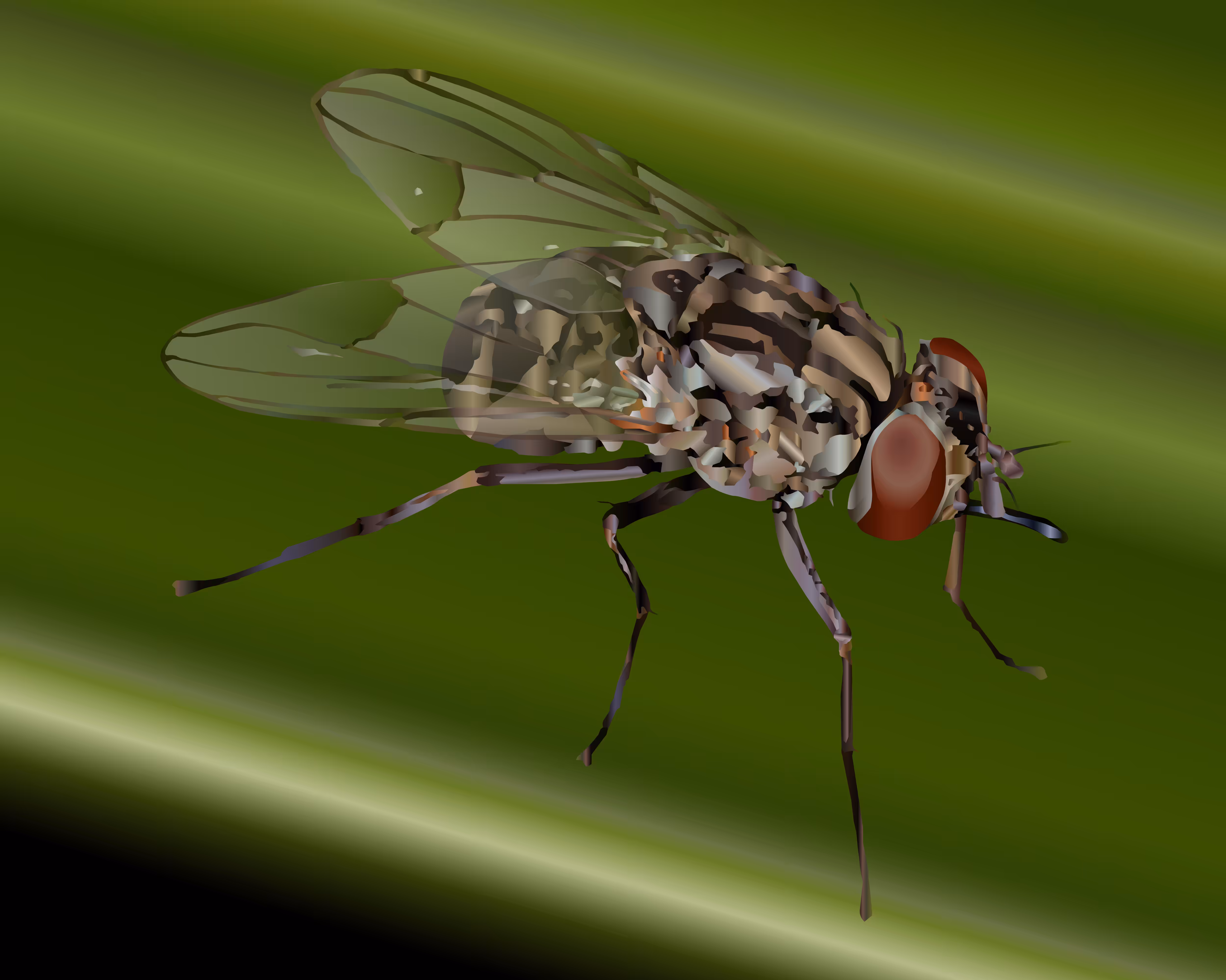 FLY