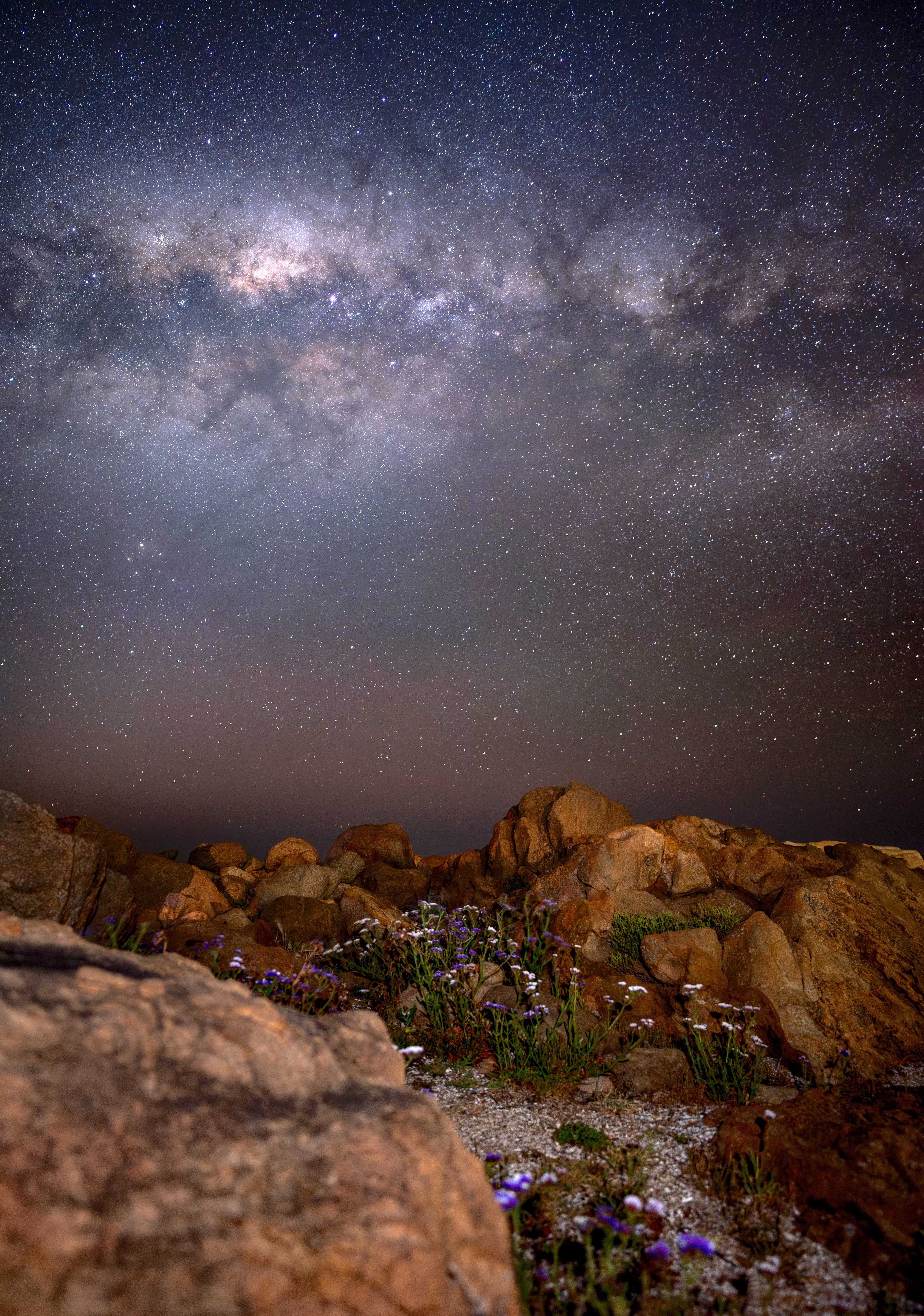 WildStars