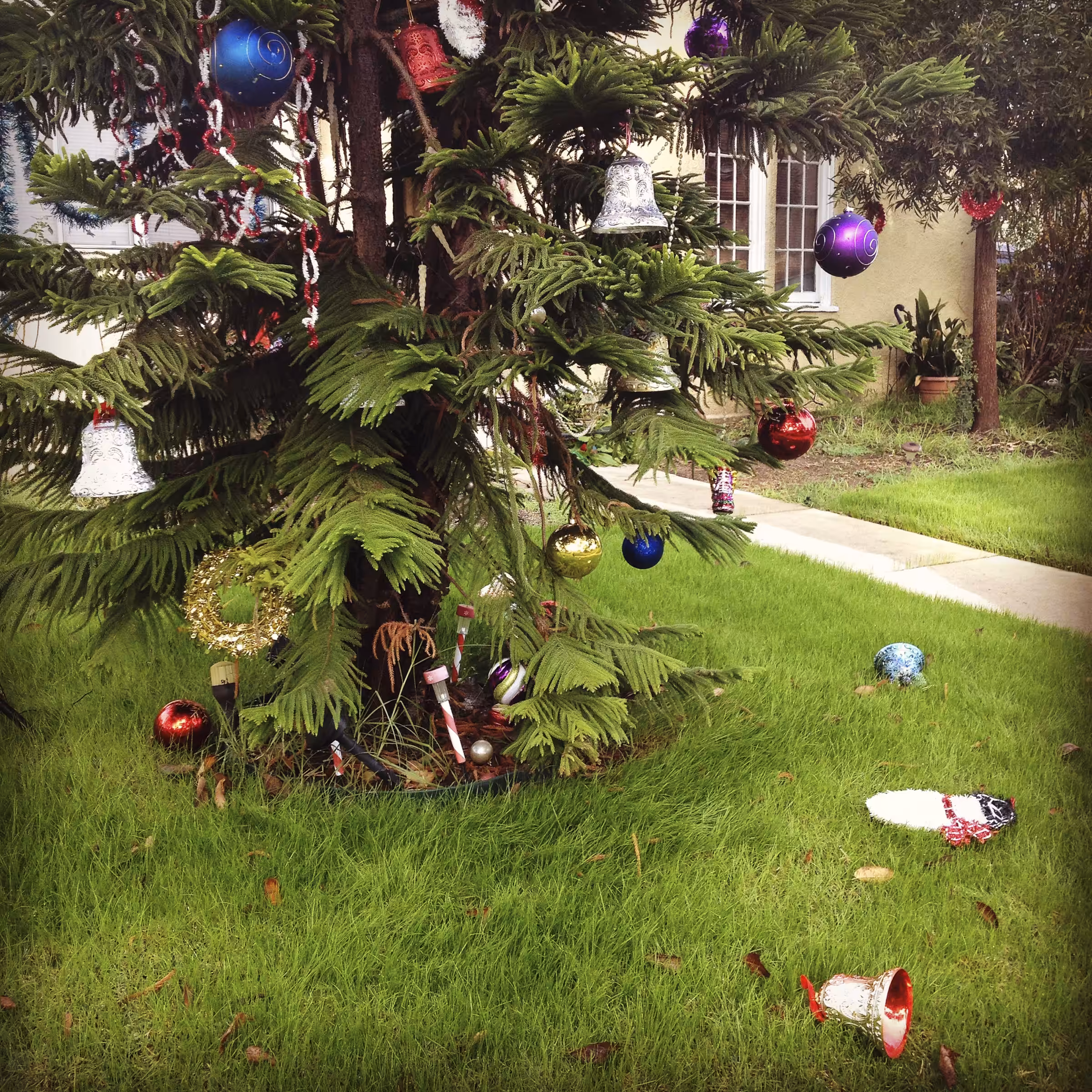 Christmas in LA