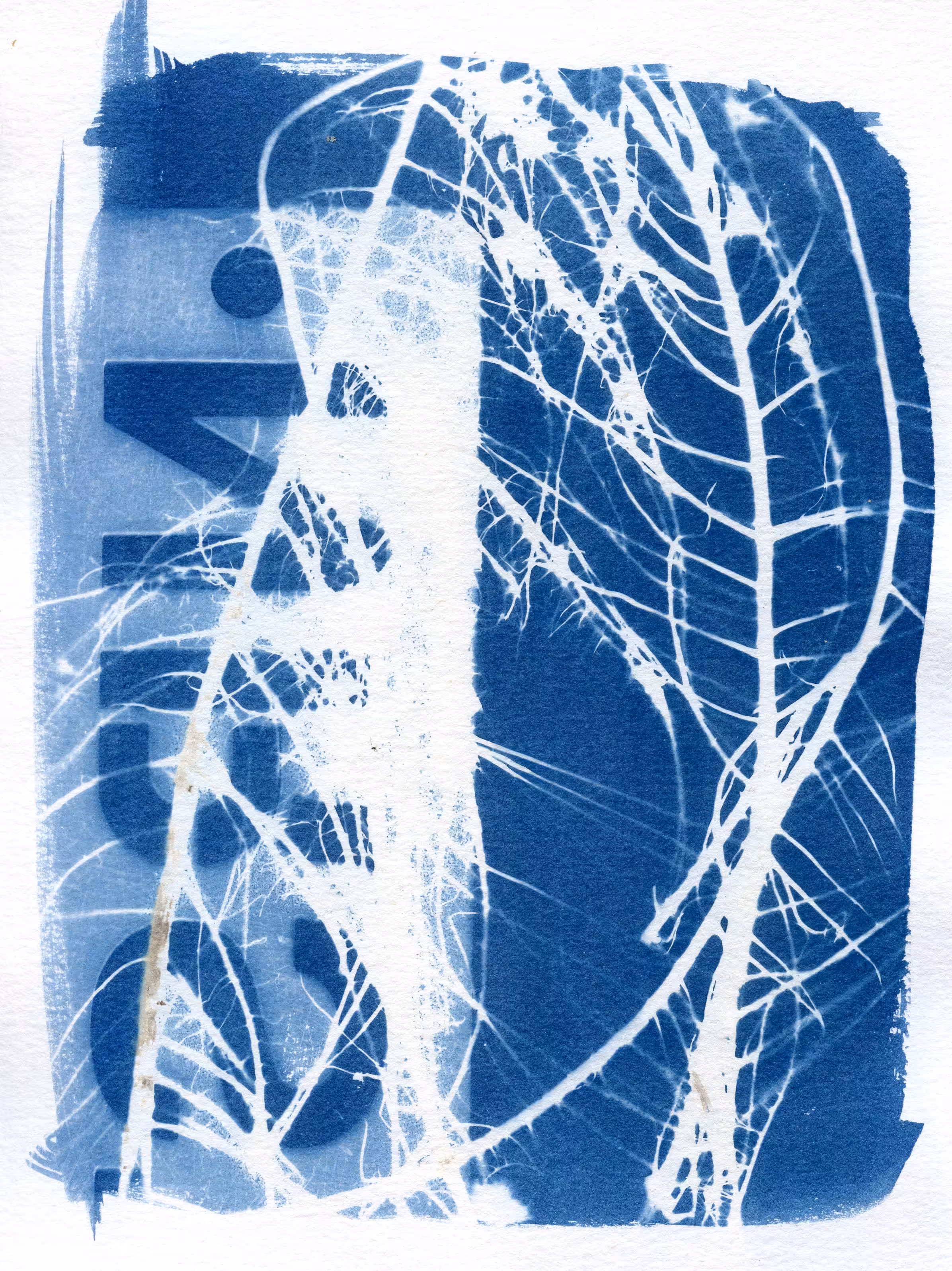 analogias del fin #1