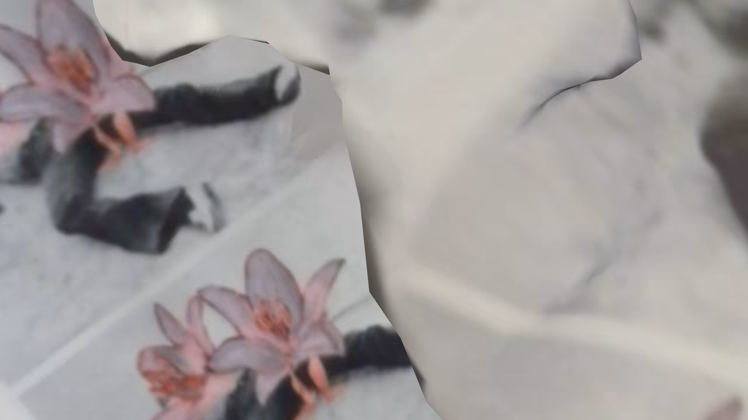 [🌷🖨️🌷].glb