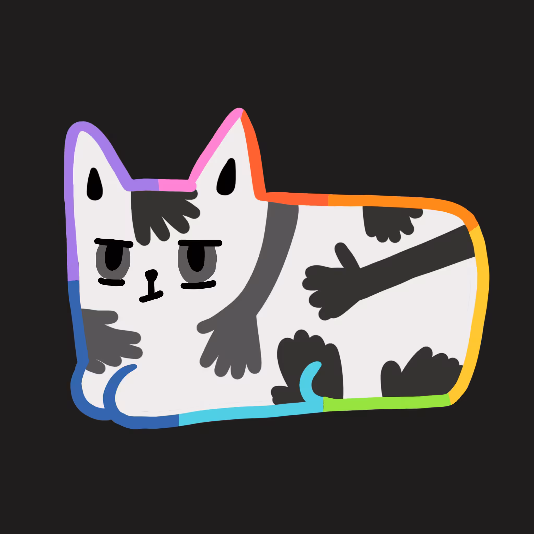 Sunny cat 47
