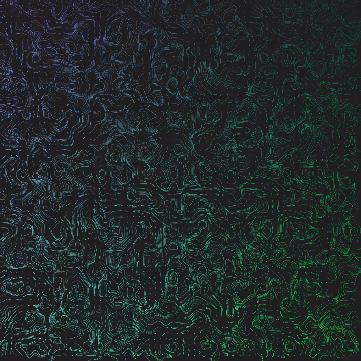 Topographic Lines #5