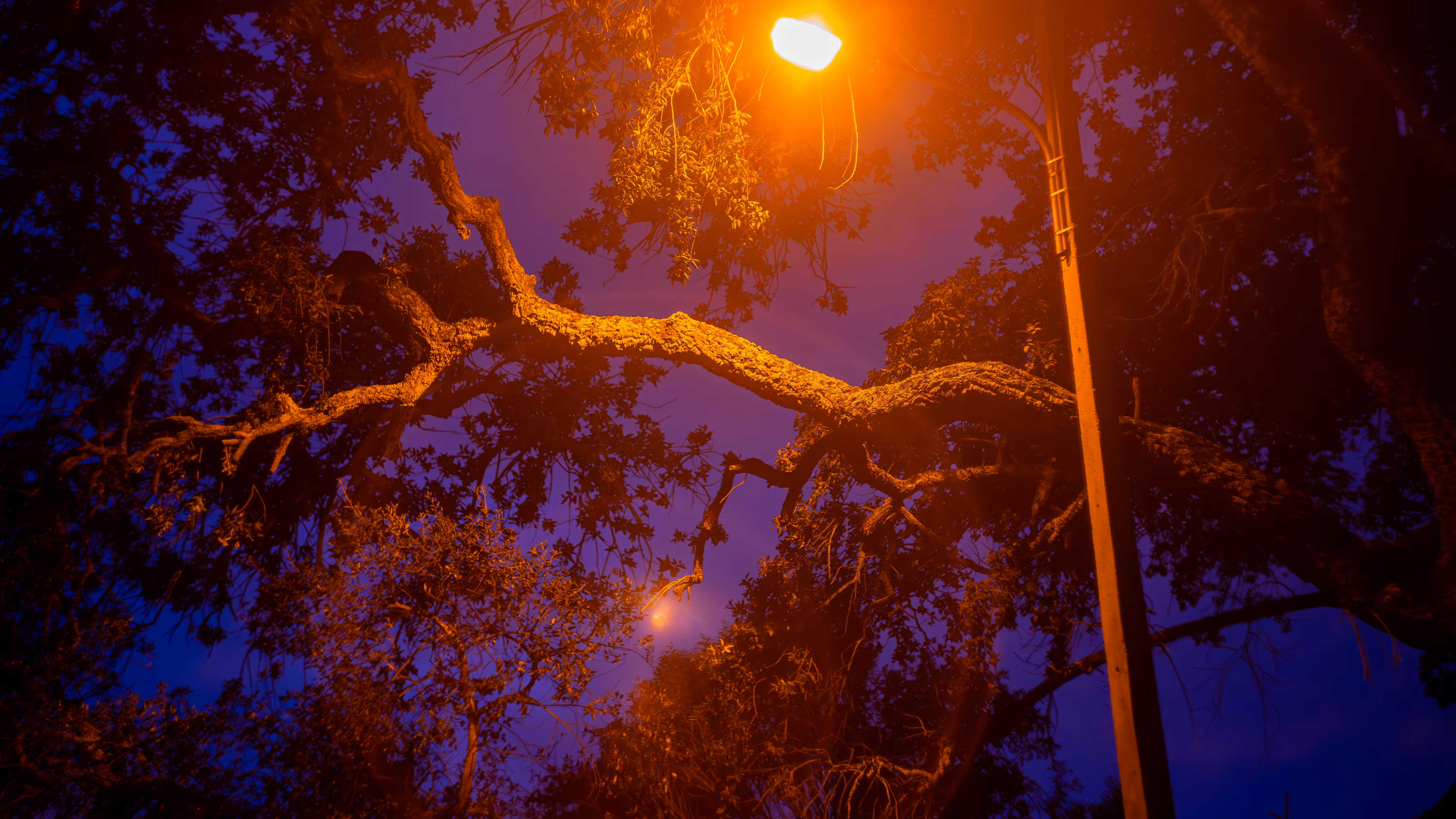 Light Rhythm #60