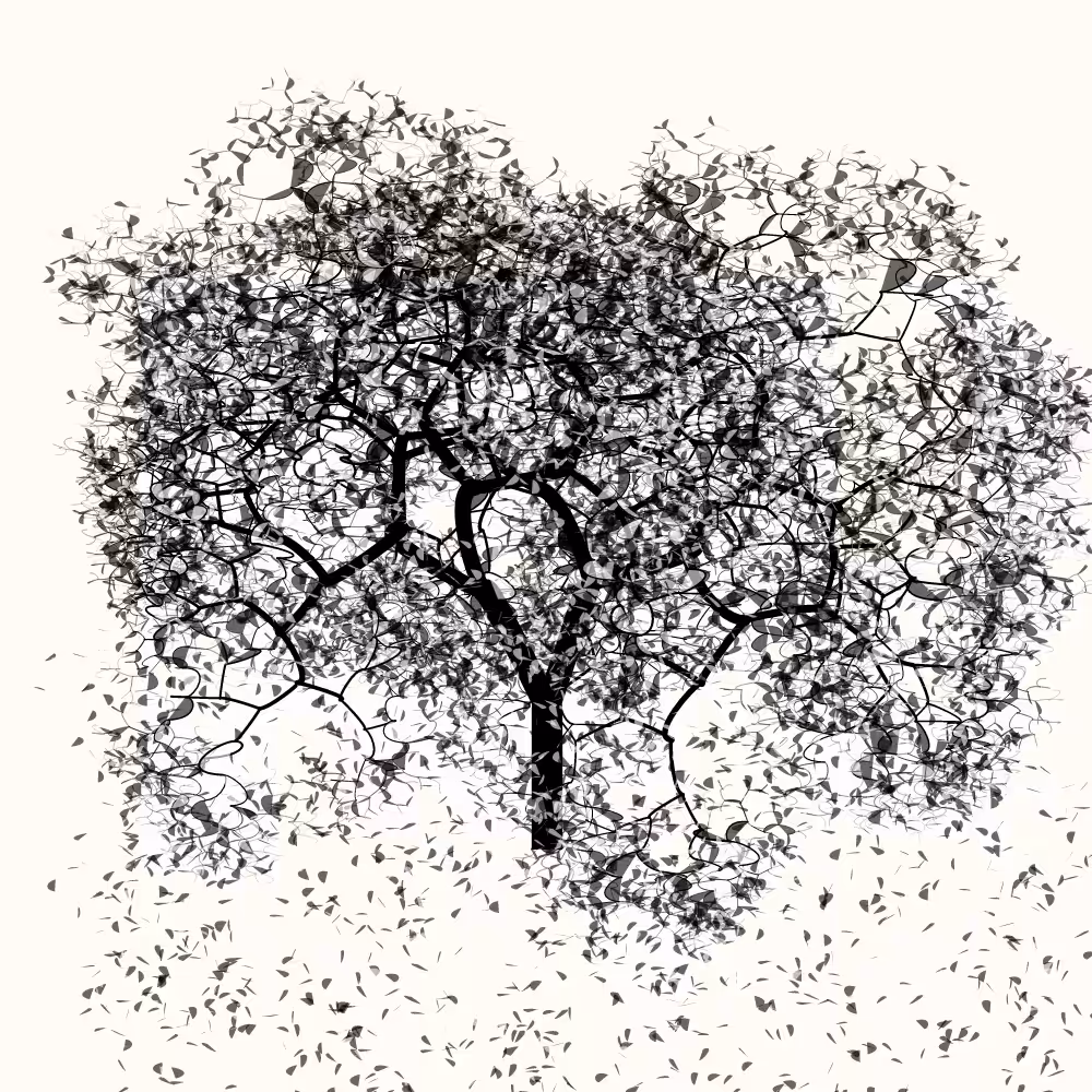 Bézier Bloom #82