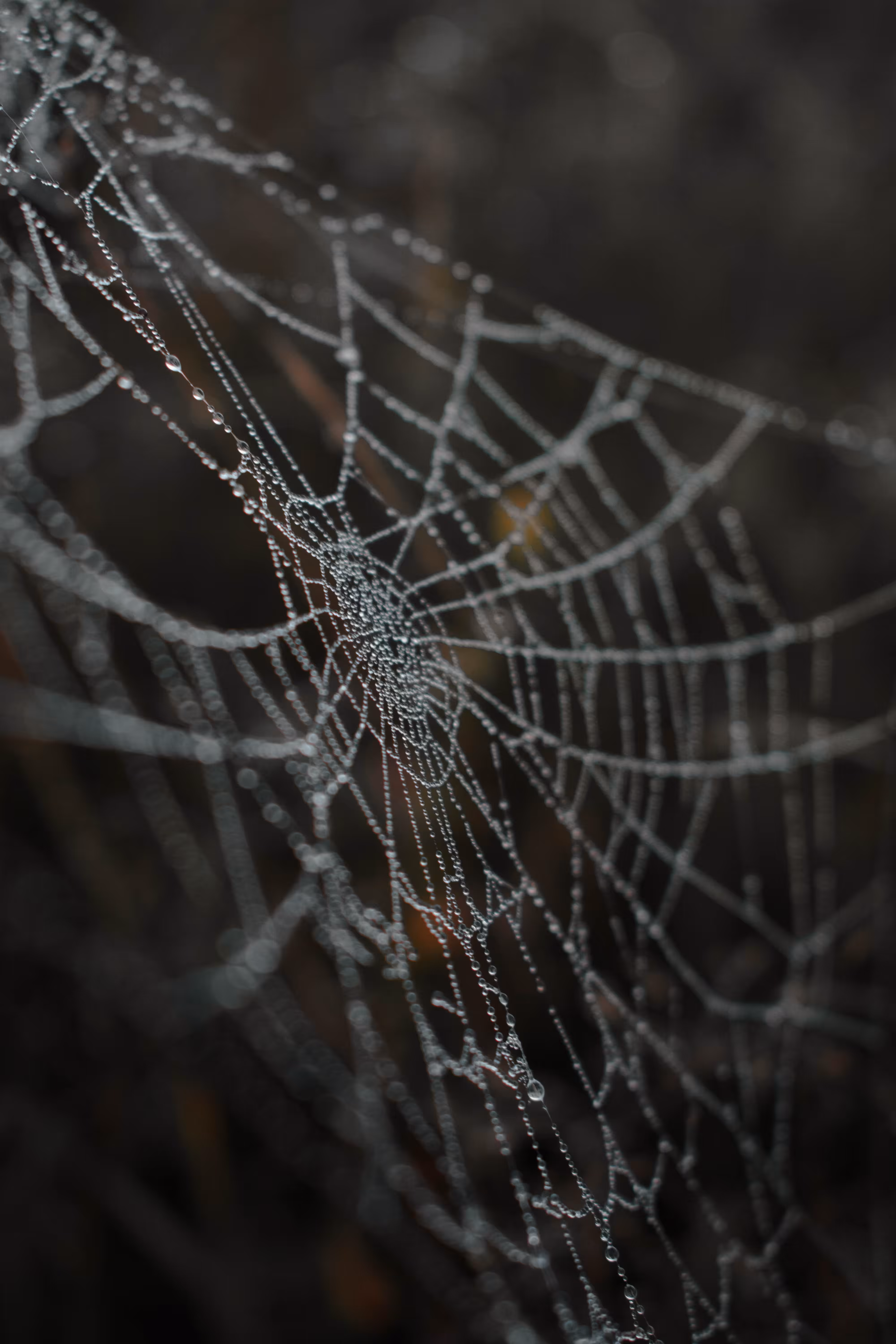 Dew 