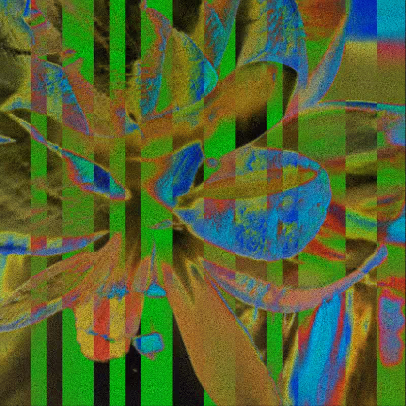 CLDCSMC #3
