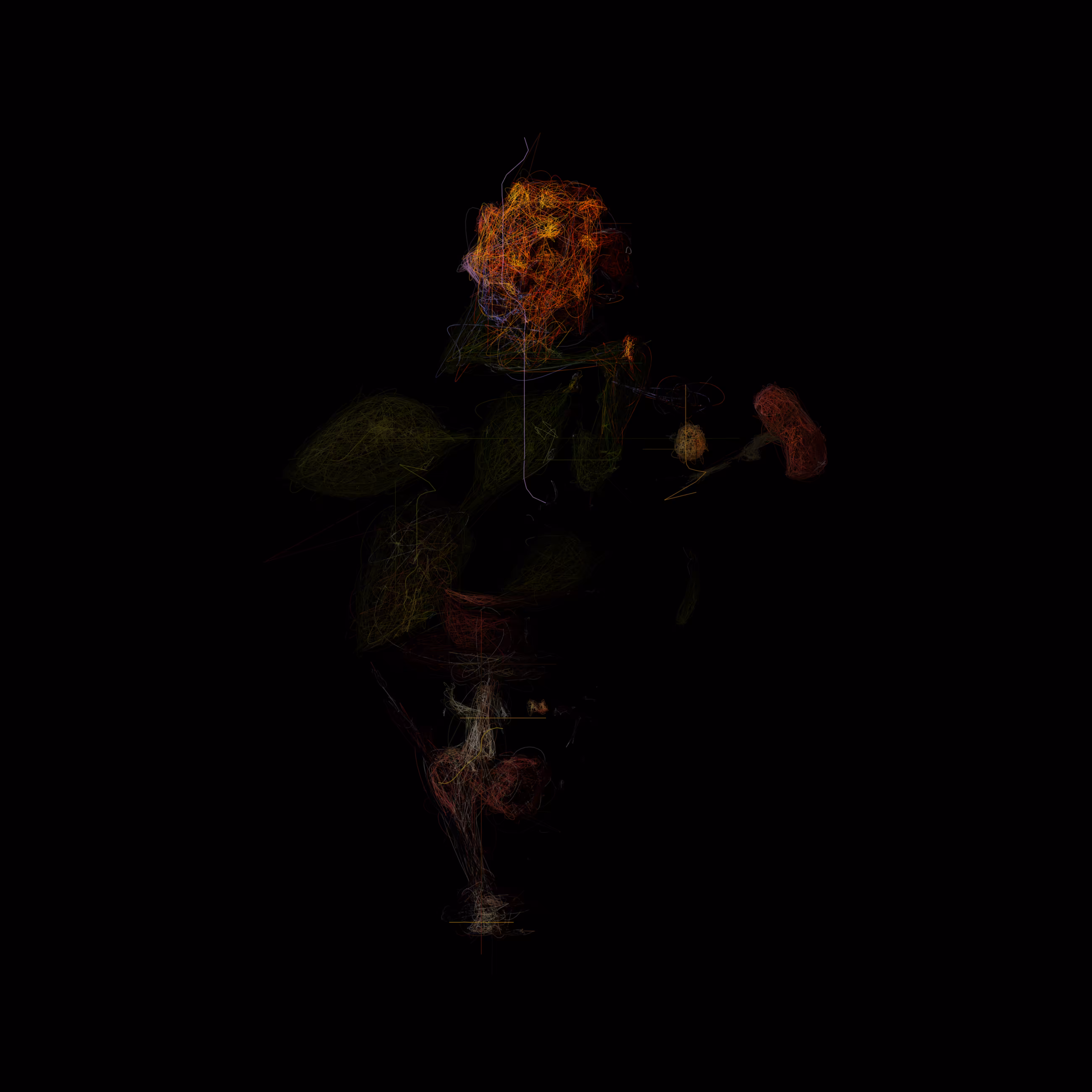 Lantana