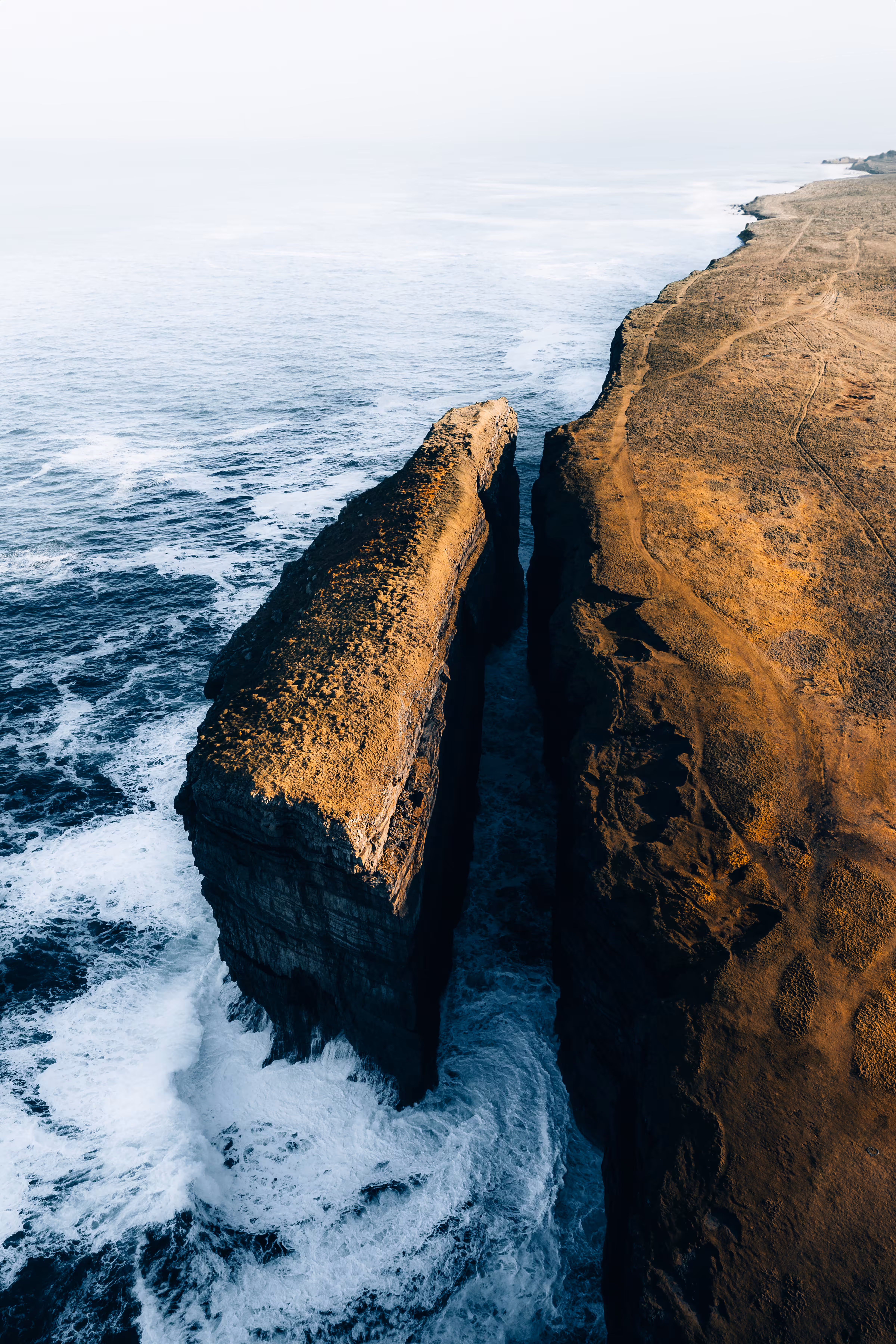 Edge of Reality