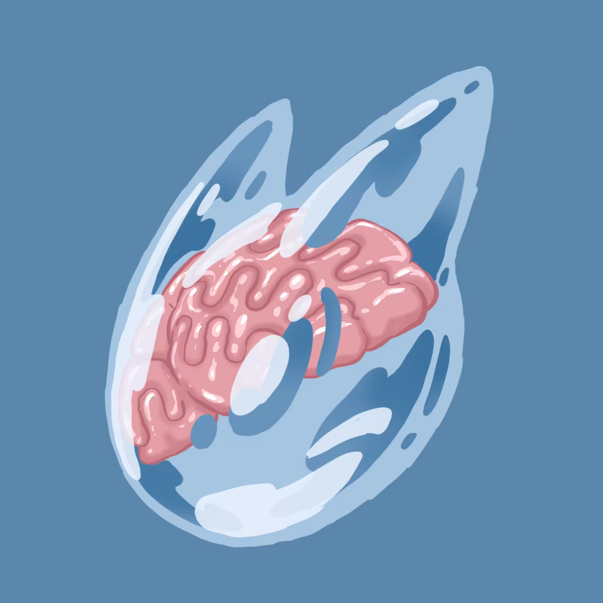 15-brain cat