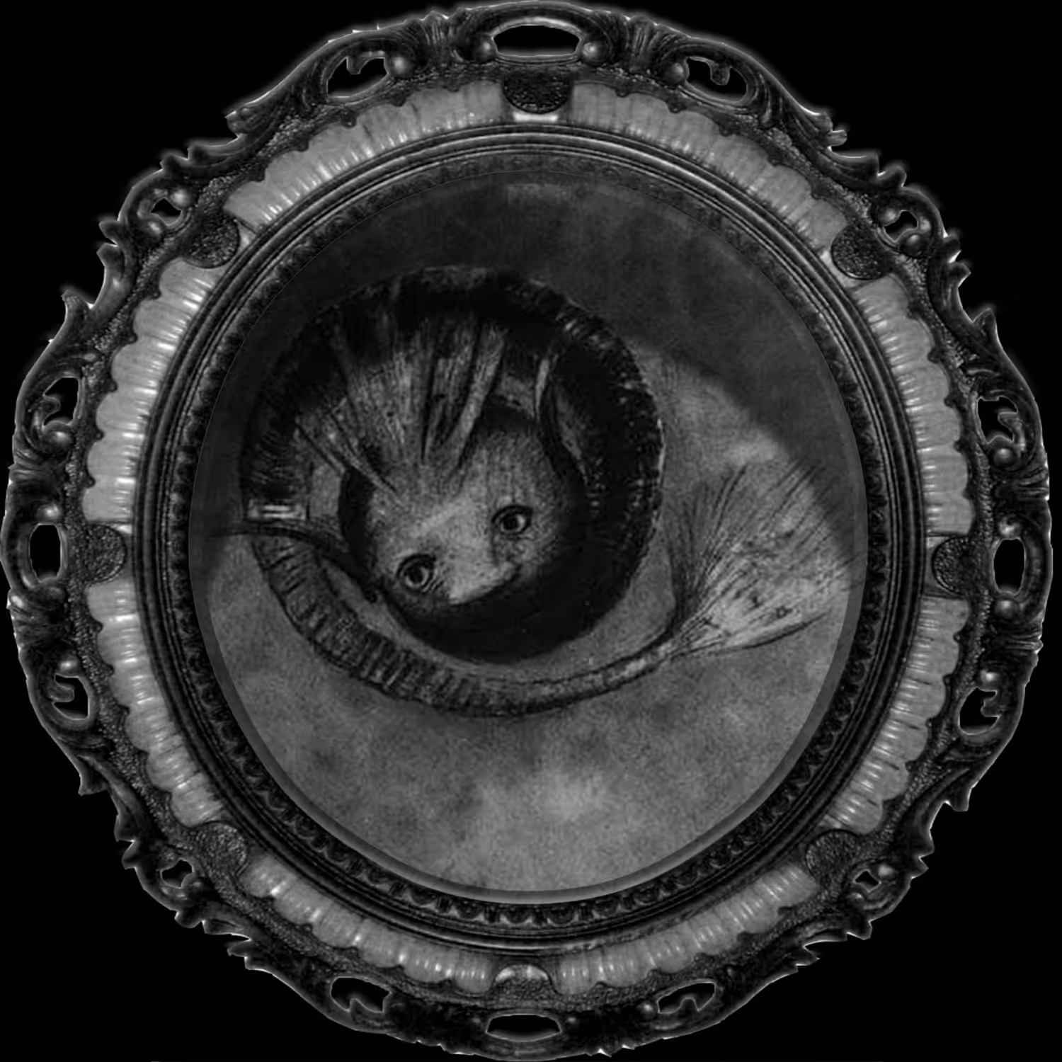 THE TURBID MOON