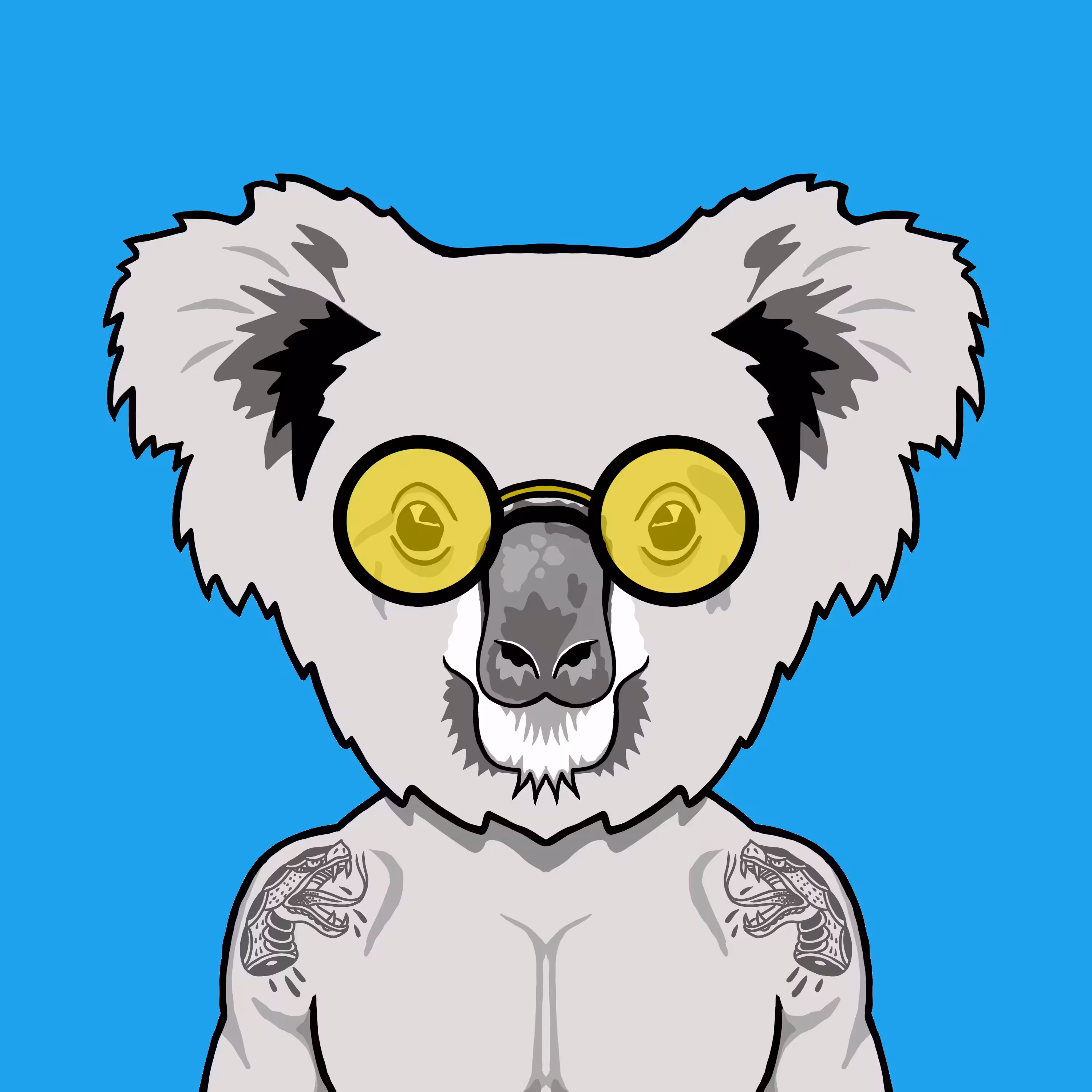 Lazy Koa #3
