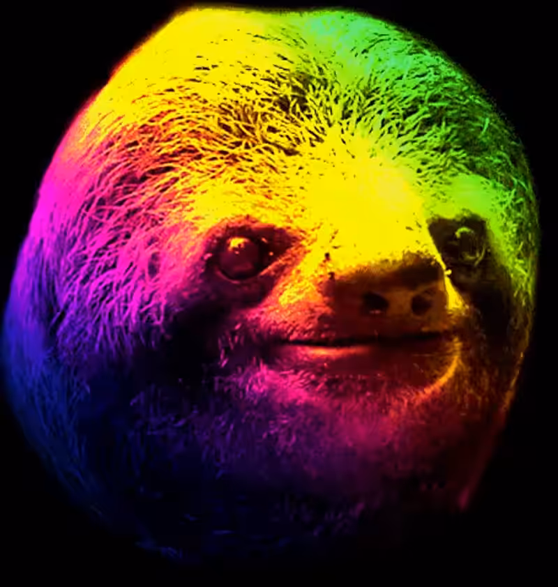 Tropical sloth ringtone band