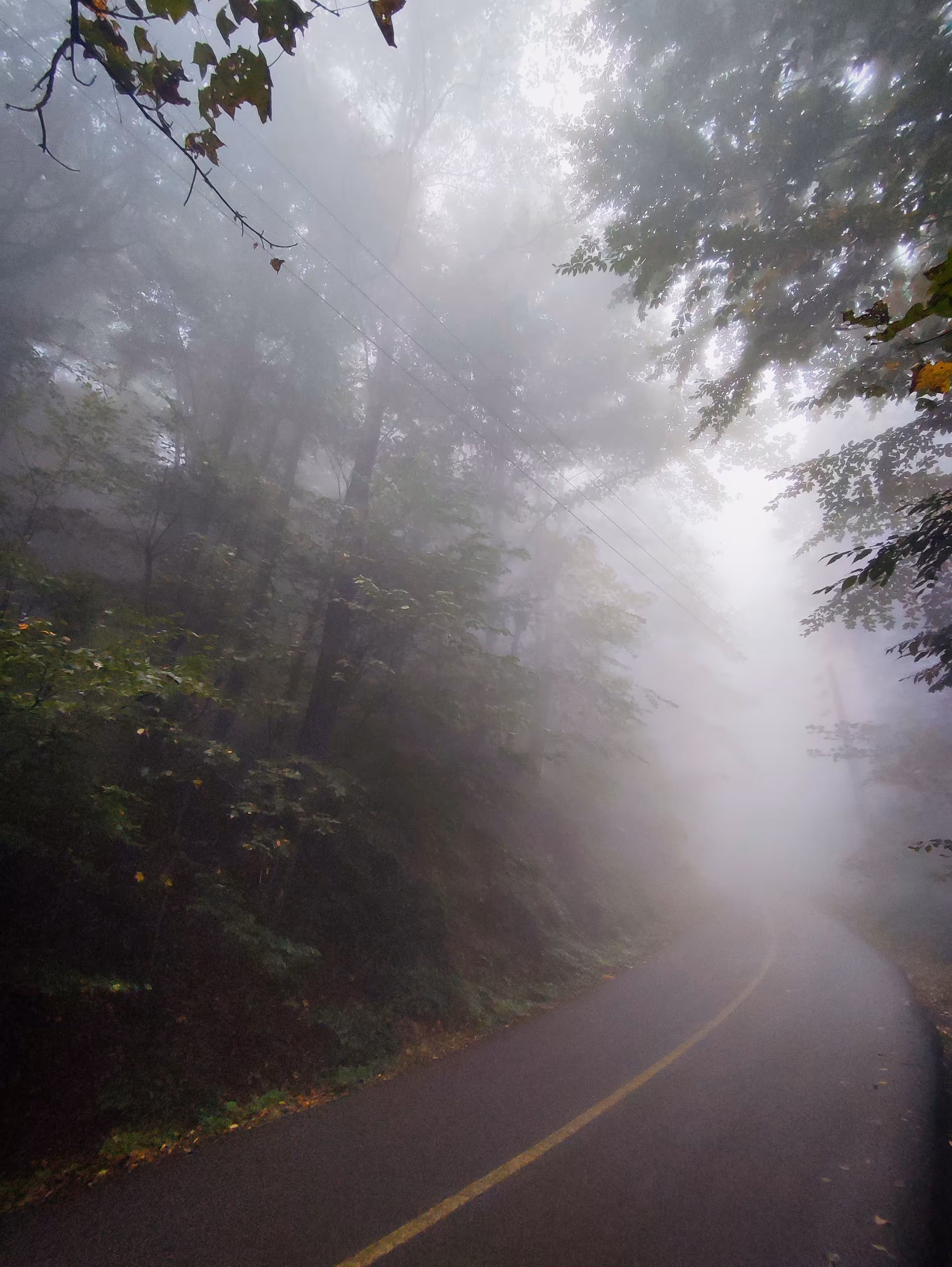 Mystical path