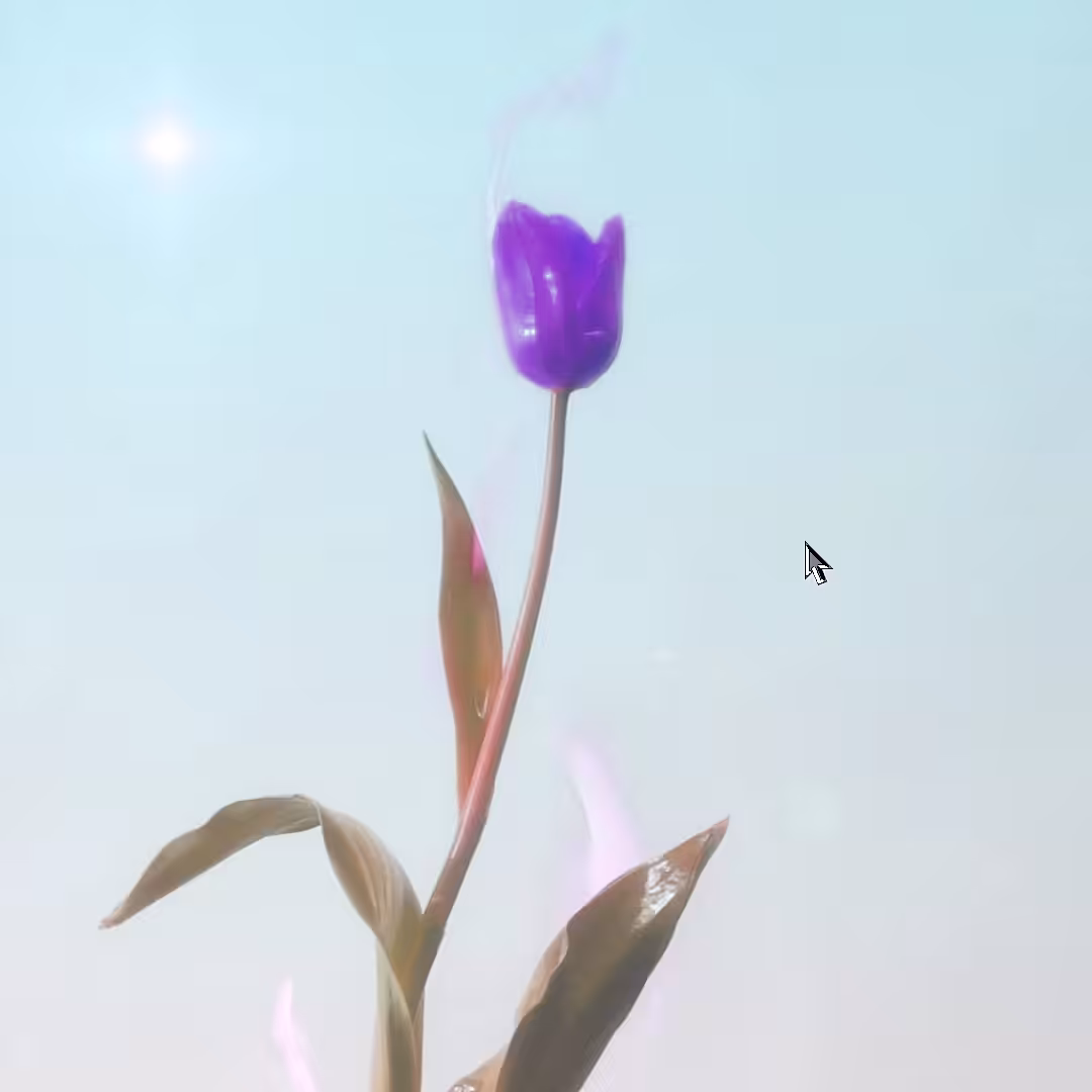 Burning Tulip