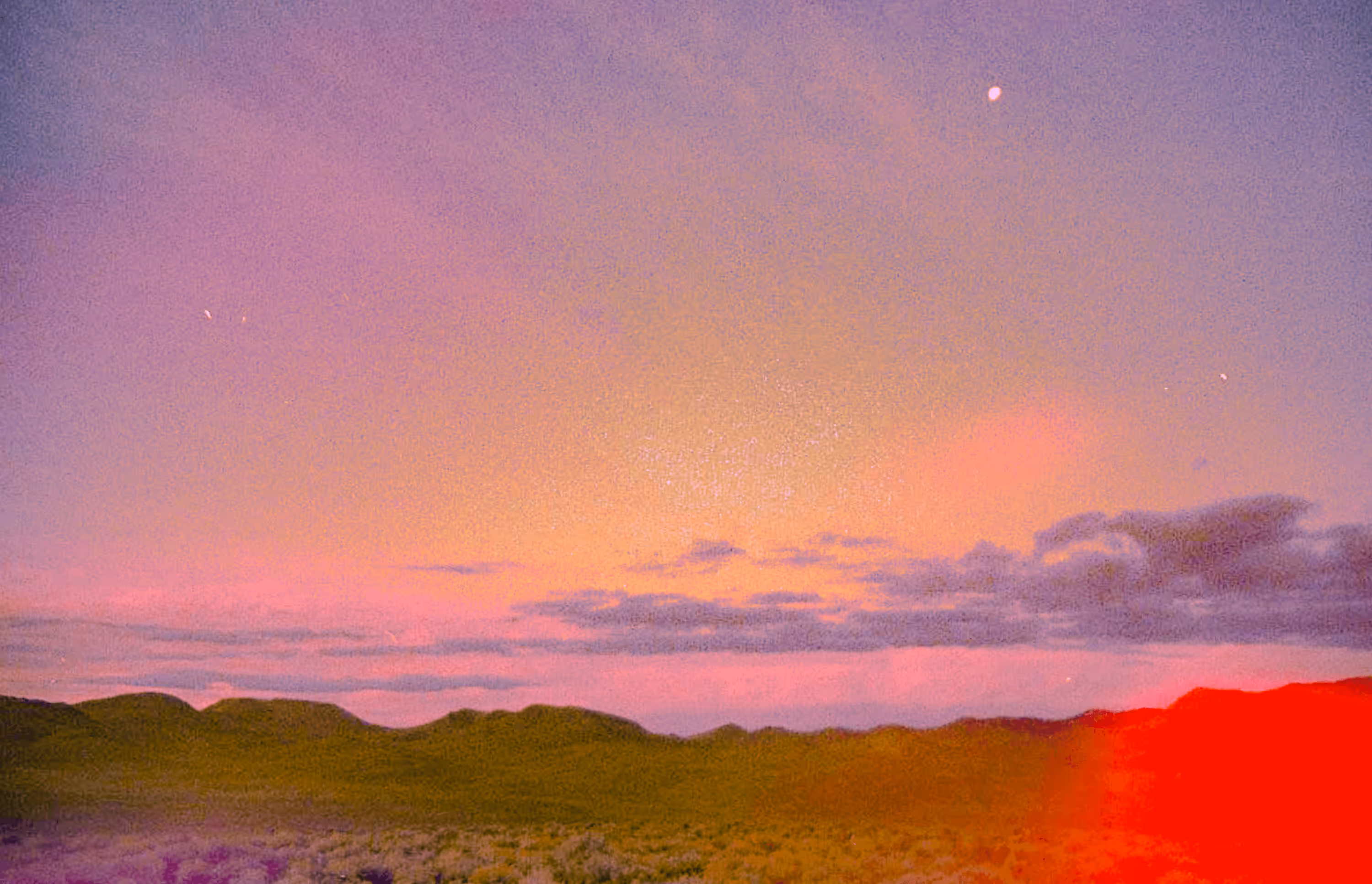 Rattlesnake Fields 
