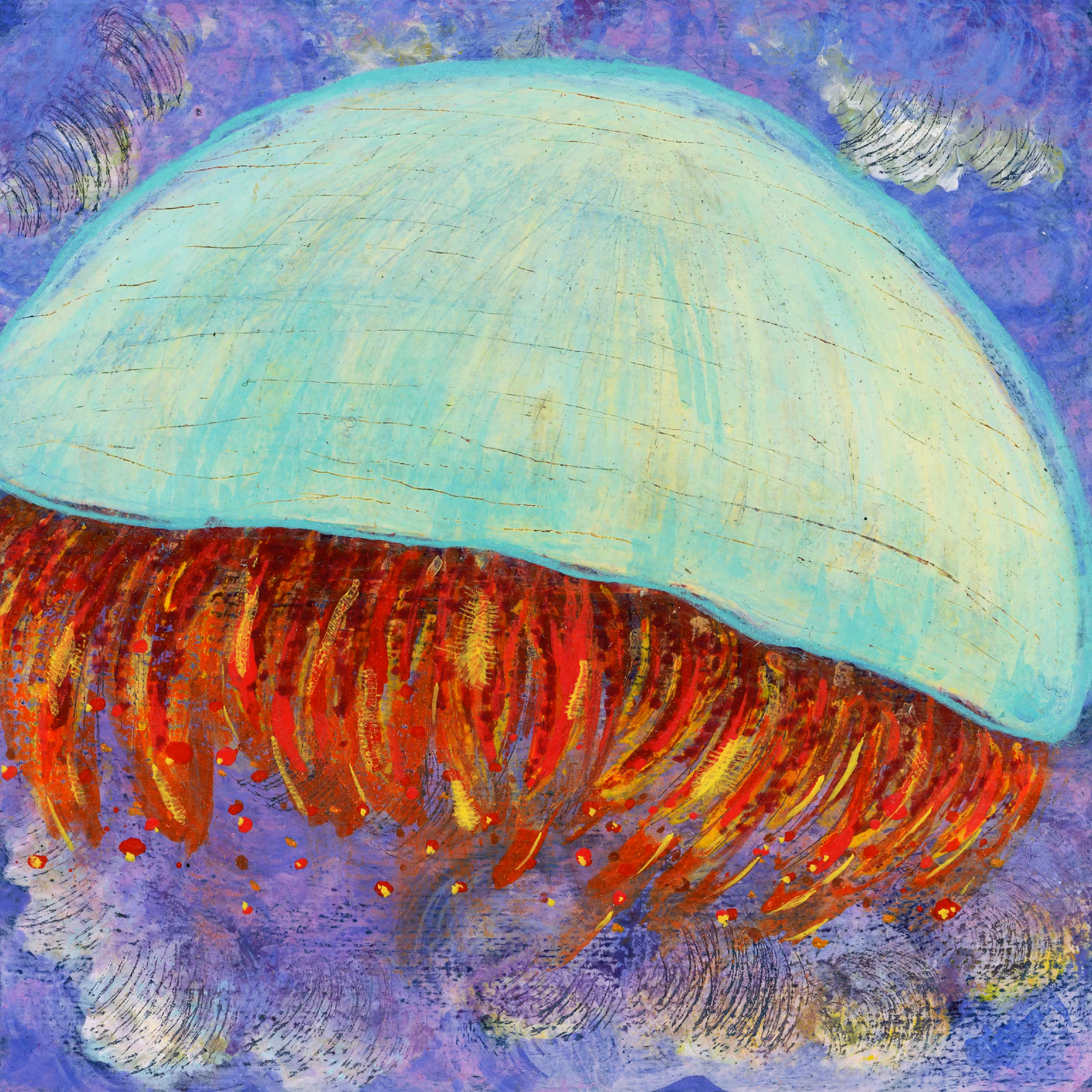 Jellyfish