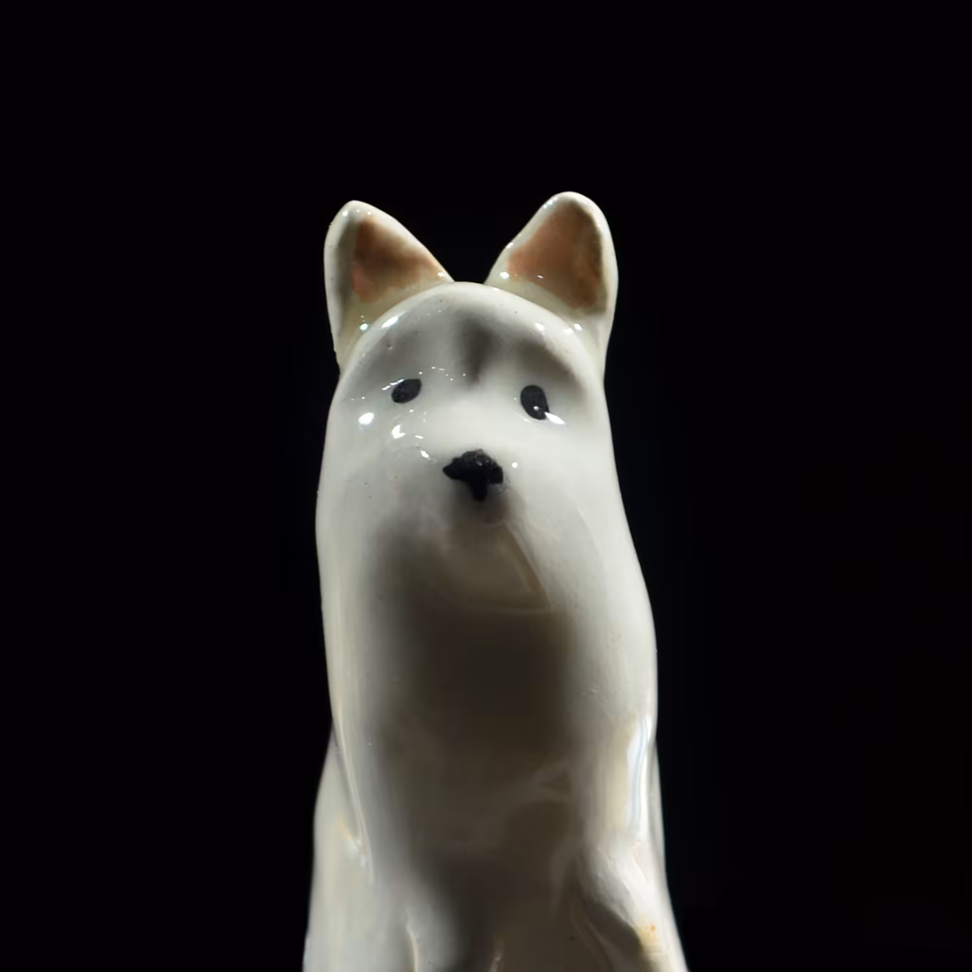 pfpup#0069