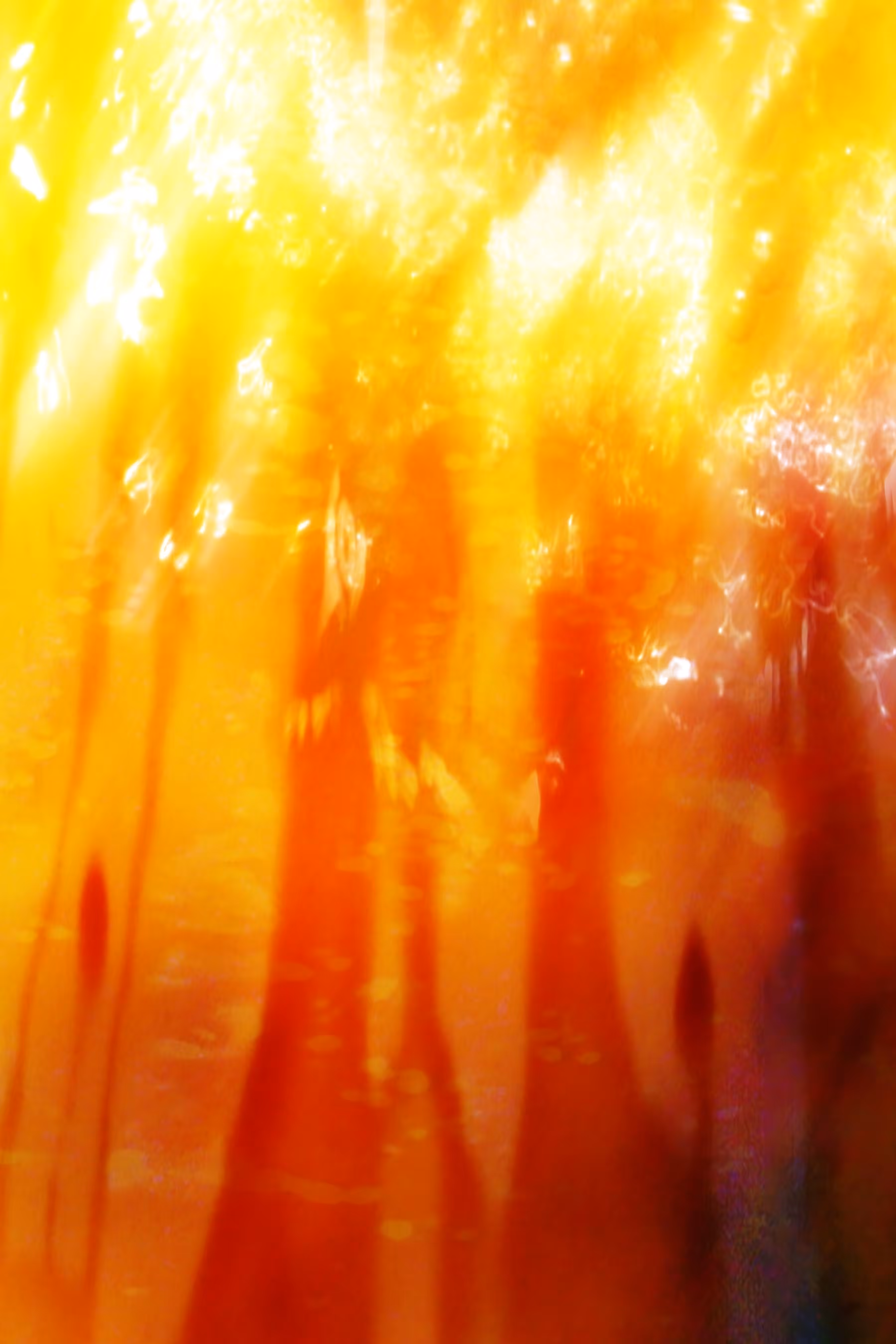 Forest for the Fire