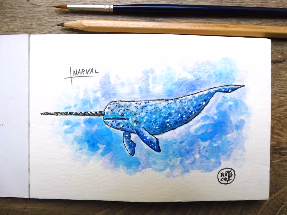 Narwhal