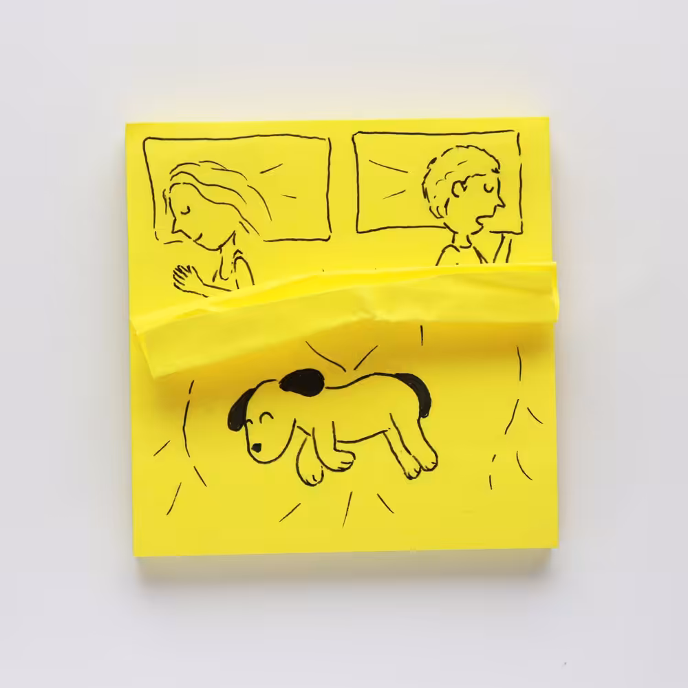 Couple with a dog