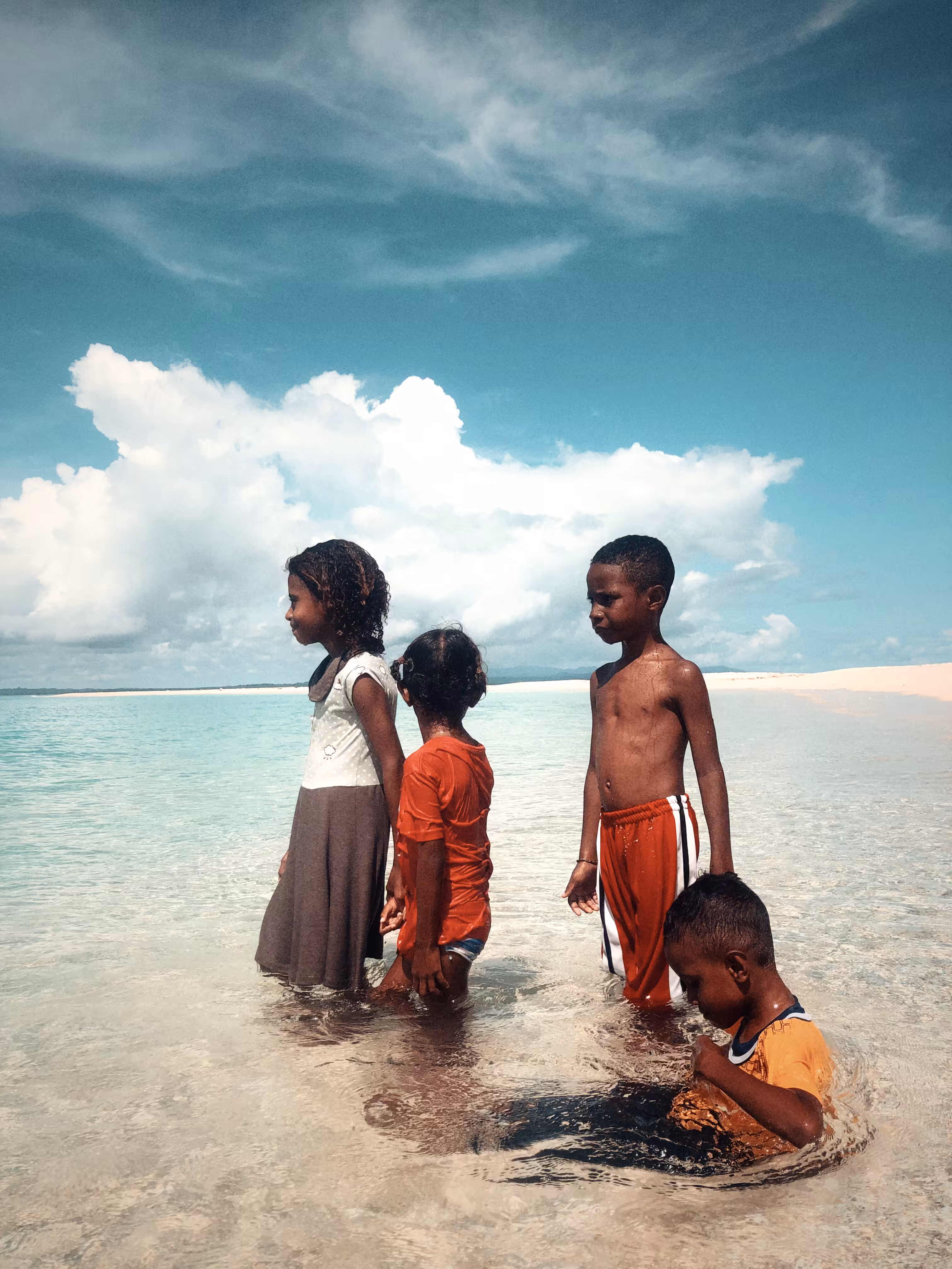 Beautiful Life on Earth